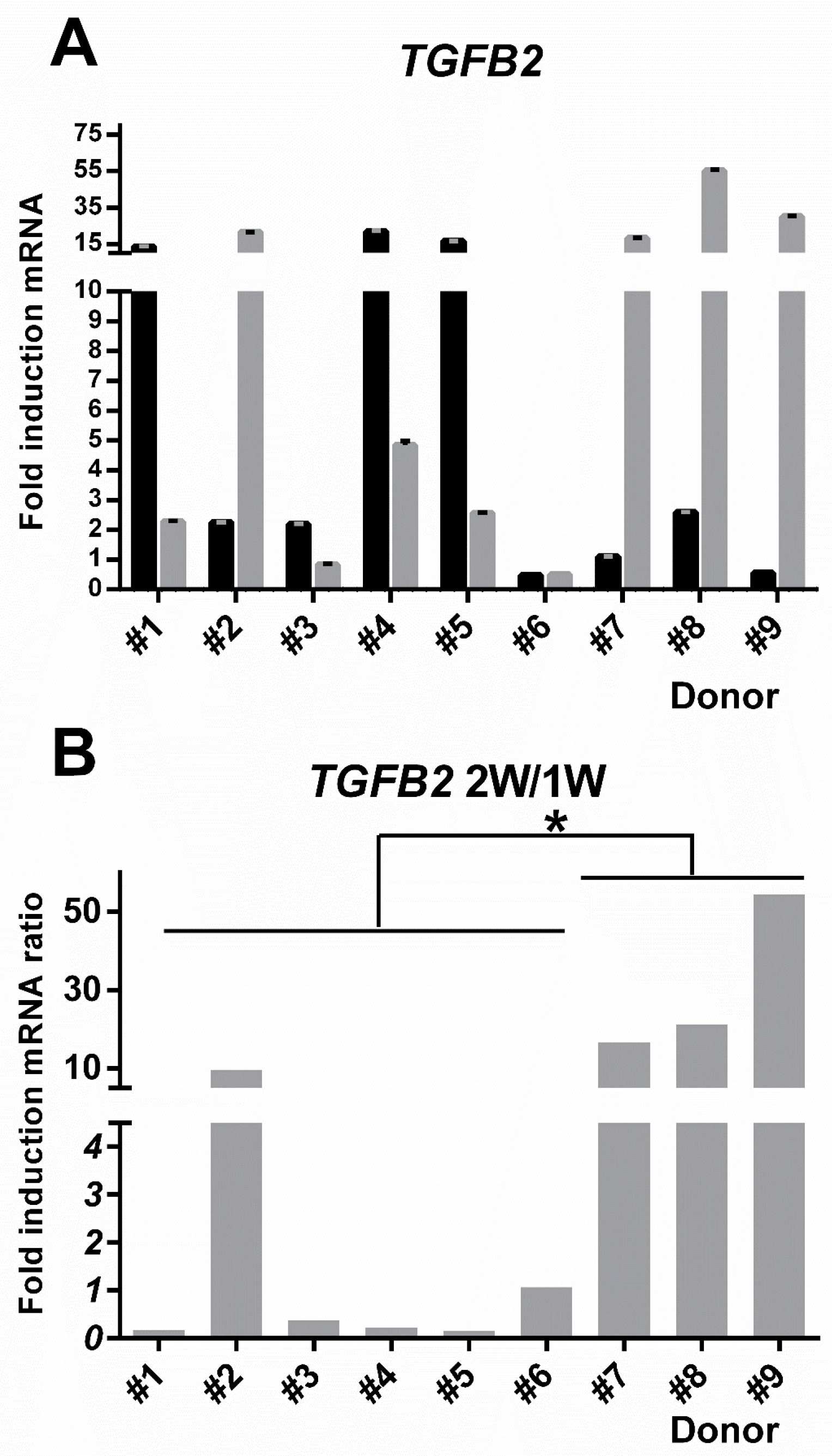 Cells 09 02559 g008 Cells 09 02559 g008