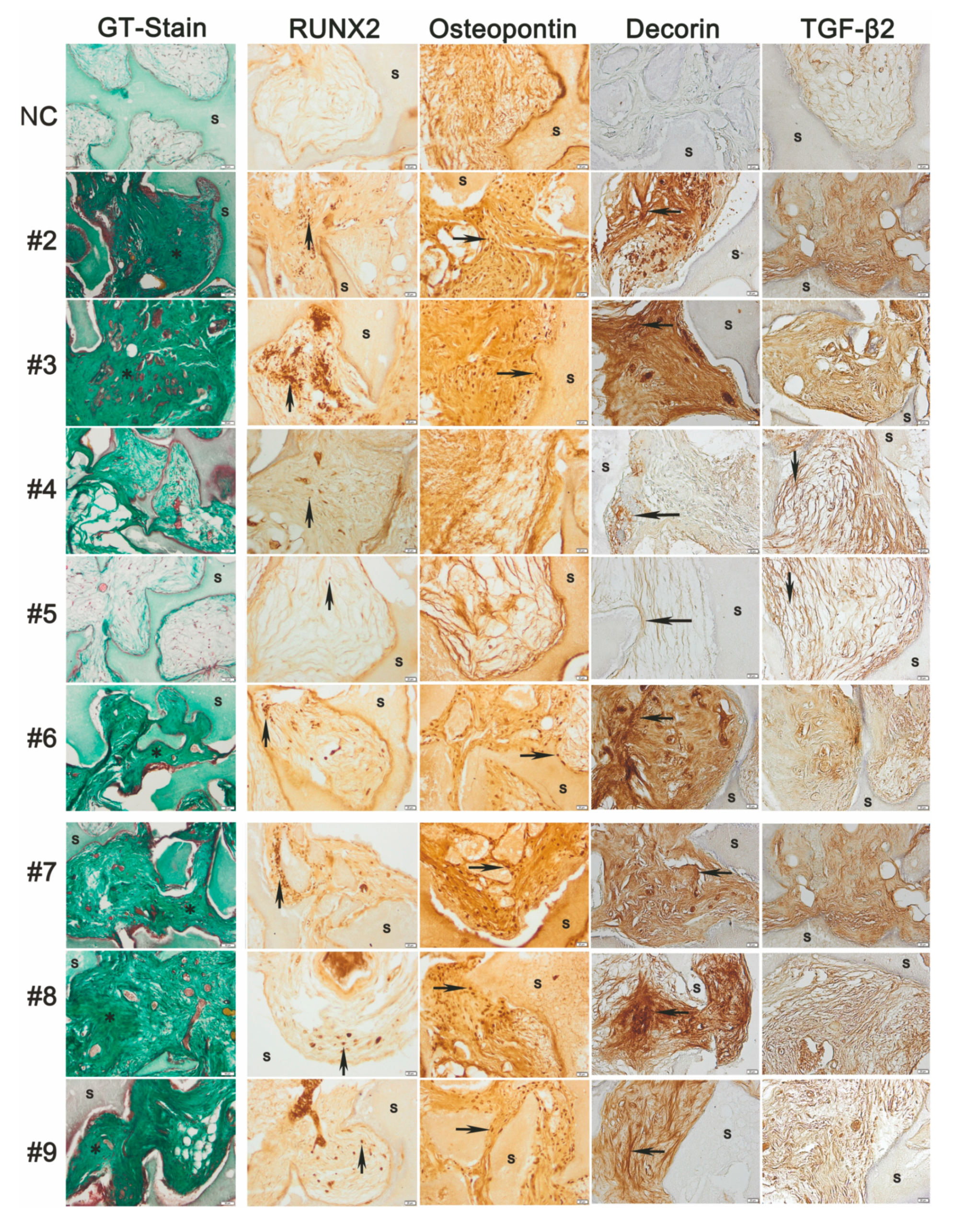 Cells 09 02559 g009 Cells 09 02559 g009