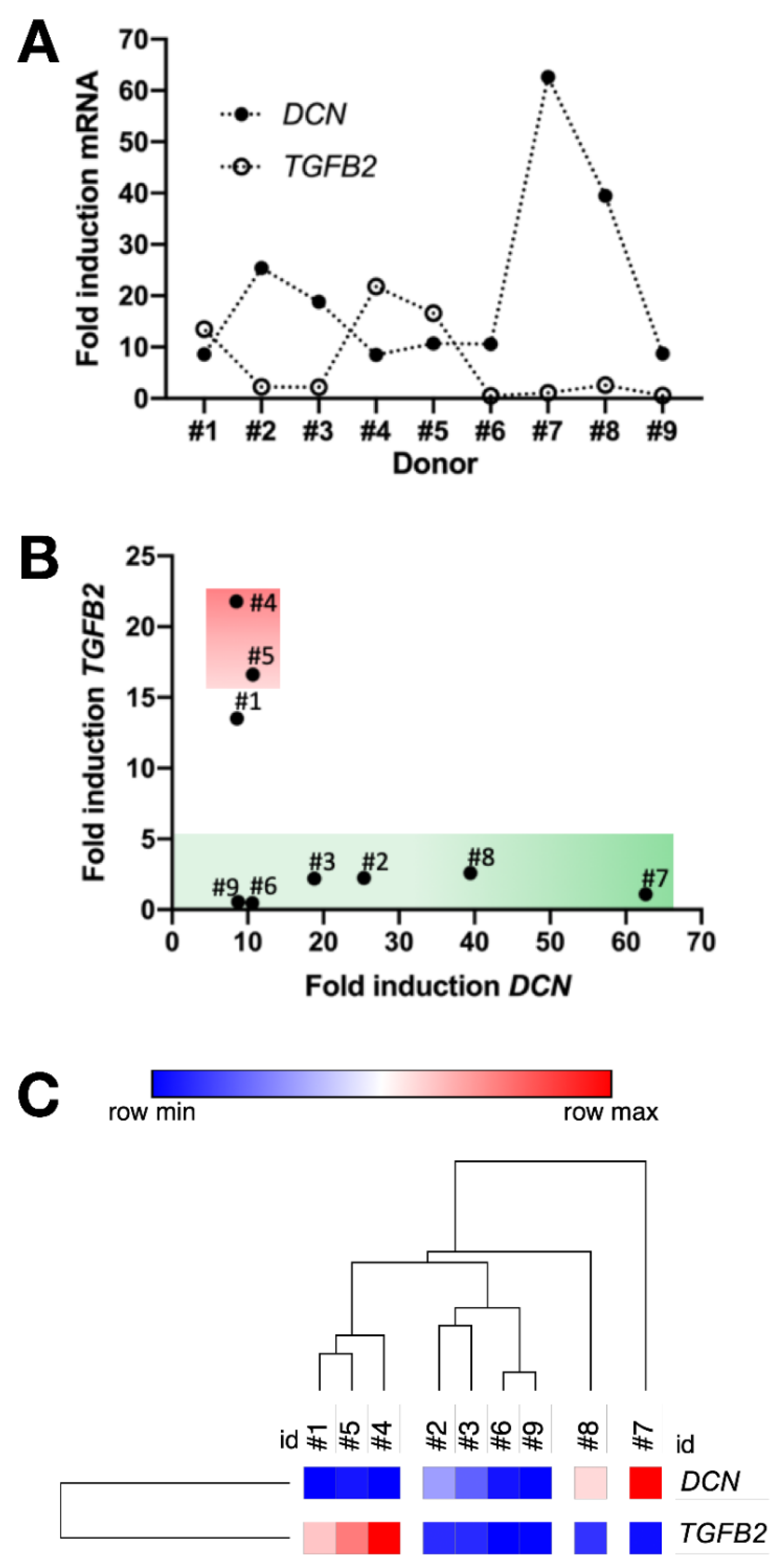 Cells 09 02559 g010 Cells 09 02559 g010