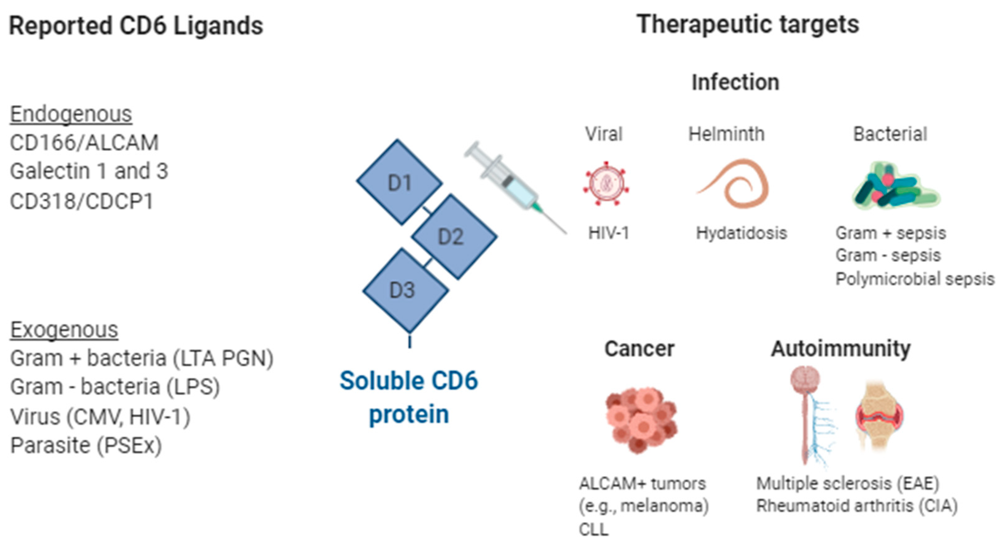 Cells Free Full Text Soluble Cd5 And Cd6 Lymphocytic Class I