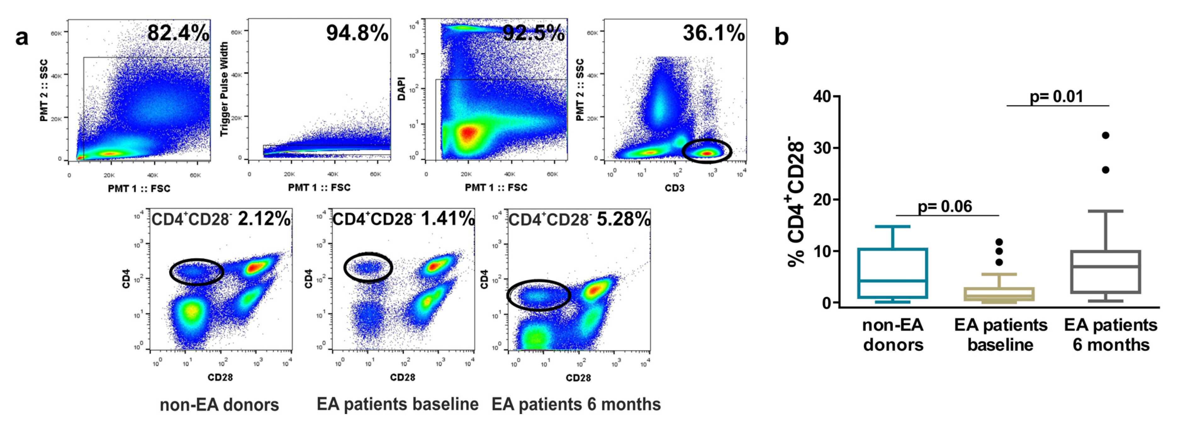 Cells 09 02592 g001 Cells 09 02592 g001