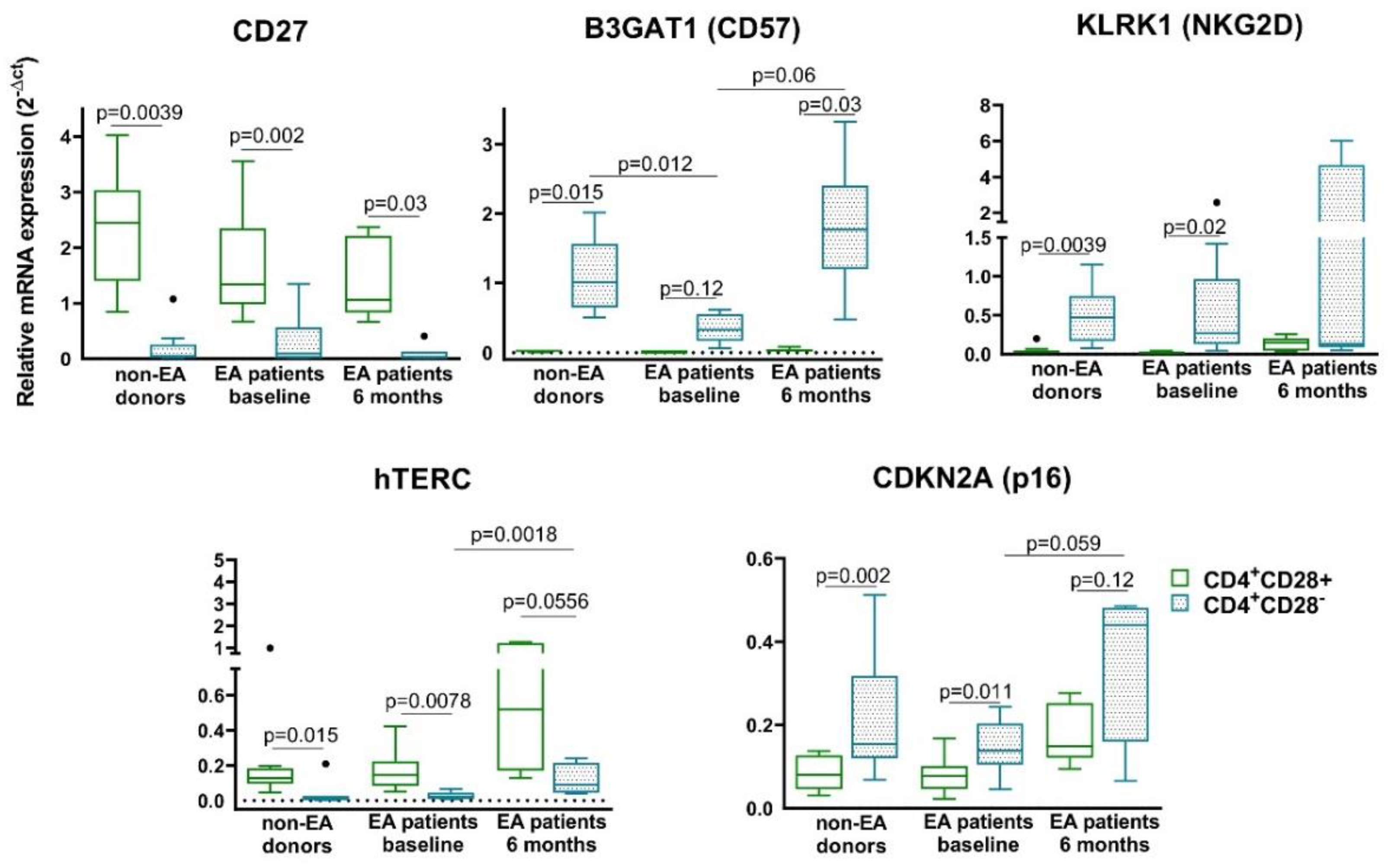 Cells 09 02592 g003 Cells 09 02592 g003