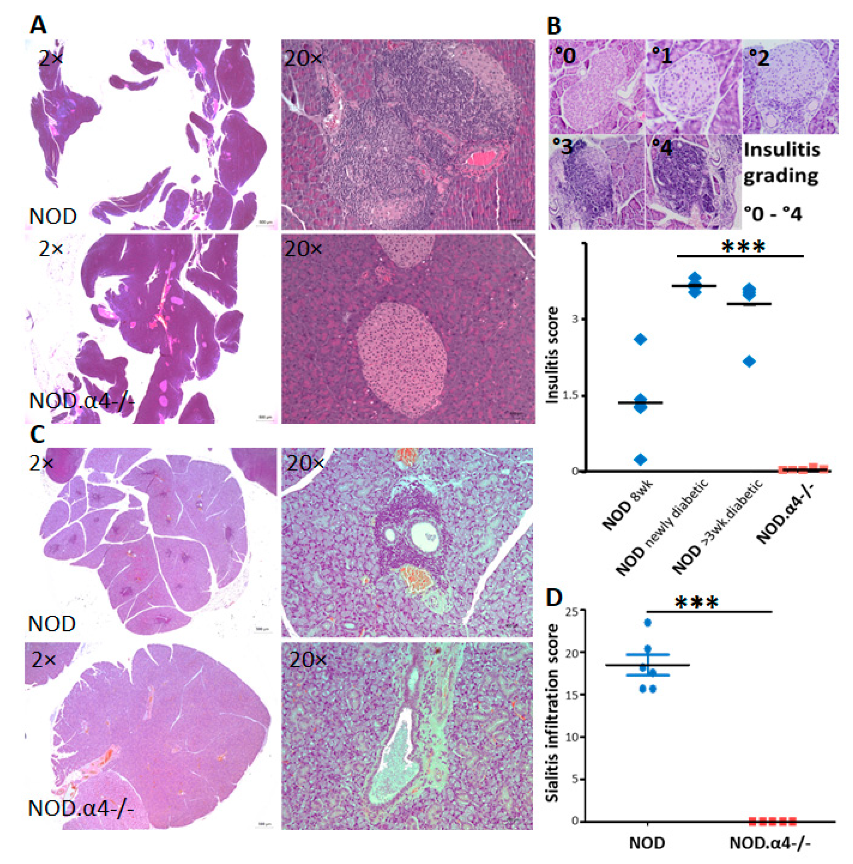 Cells 09 02597 g002 Cells 09 02597 g002