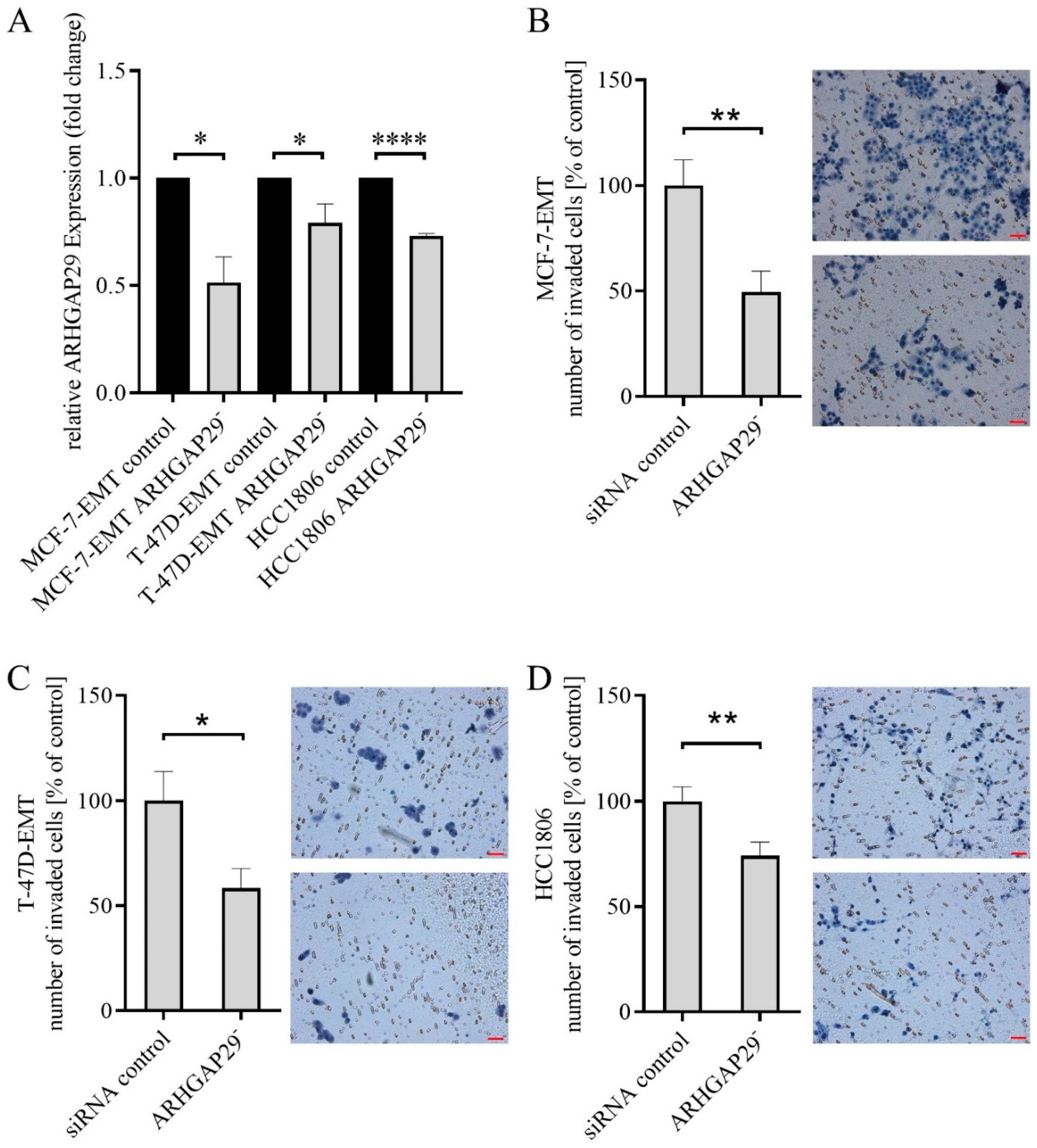 Cells 09 02616 g002 Cells 09 02616 g002