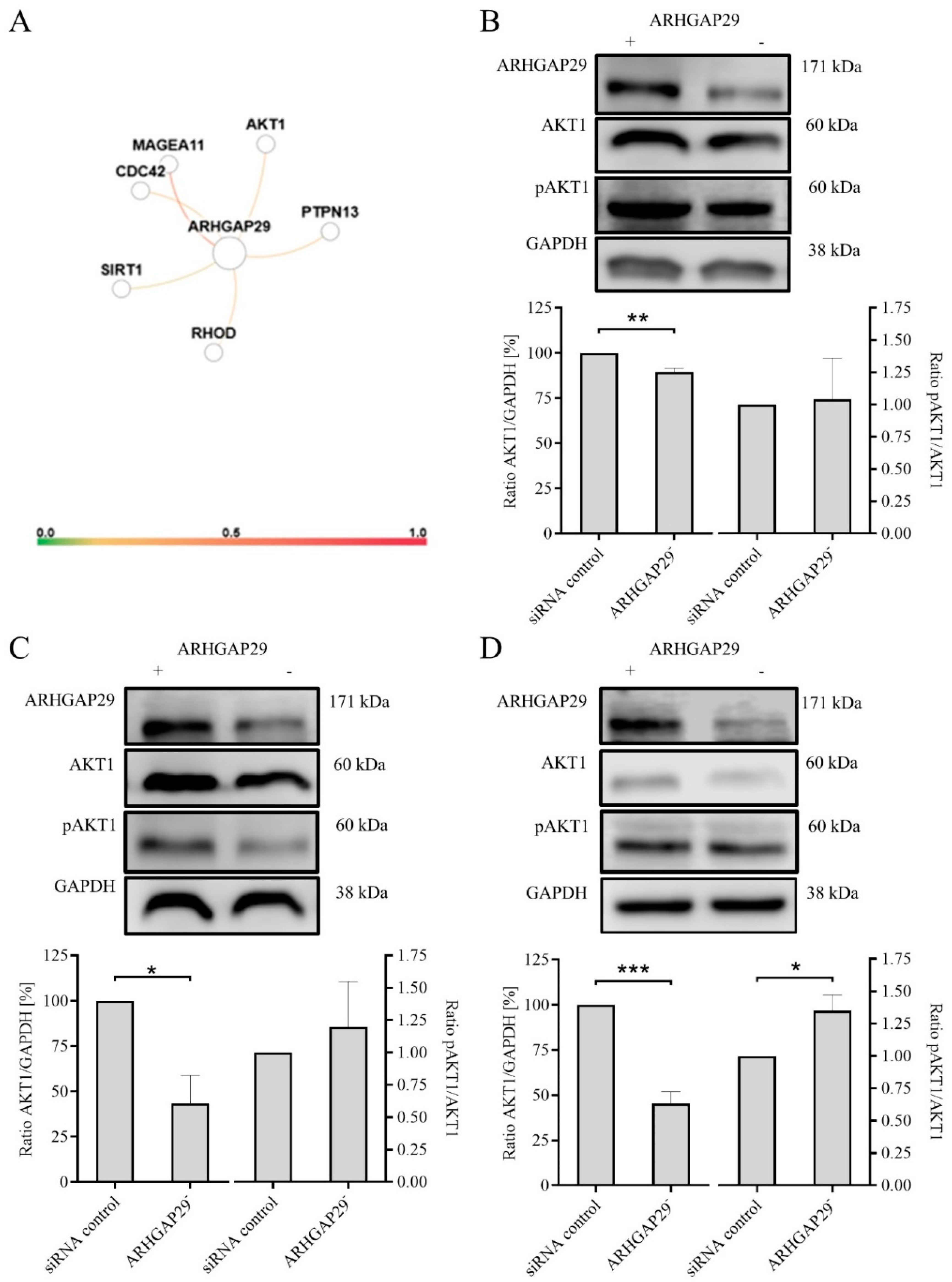 Cells 09 02616 g004 Cells 09 02616 g004