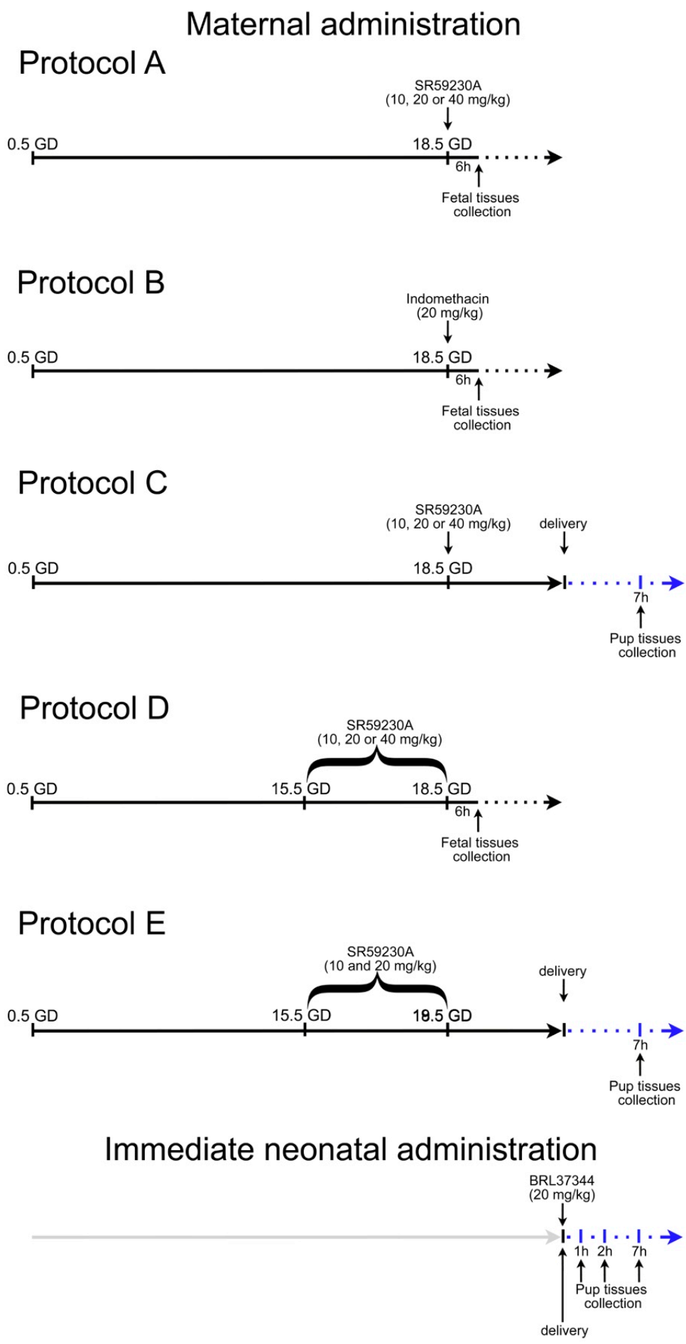 Cells 09 02625 g001 Cells 09 02625 g001