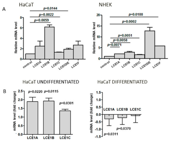 Cells | Free Full-Text | Effect of SUV39H1 Histone Methyltransferase  Knockout on Expression of Differentiation-Associated Genes in HaCaT  Keratinocytes