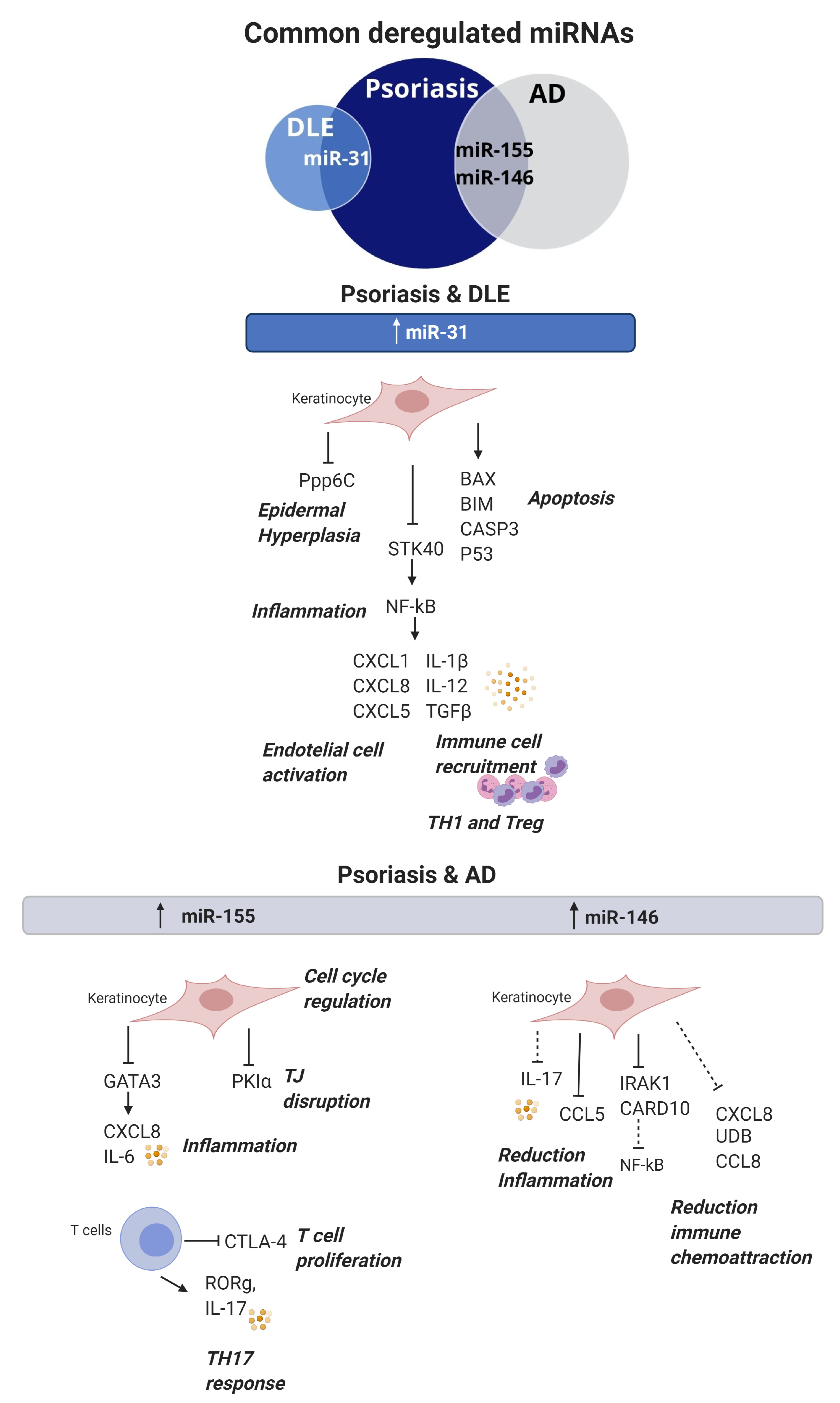 Cells | Free Full-Text | MicroRNAs in Several Cutaneous Autoimmune  Diseases: Psoriasis, Cutaneous Lupus Erythematosus and Atopic Dermatitis |  HTML