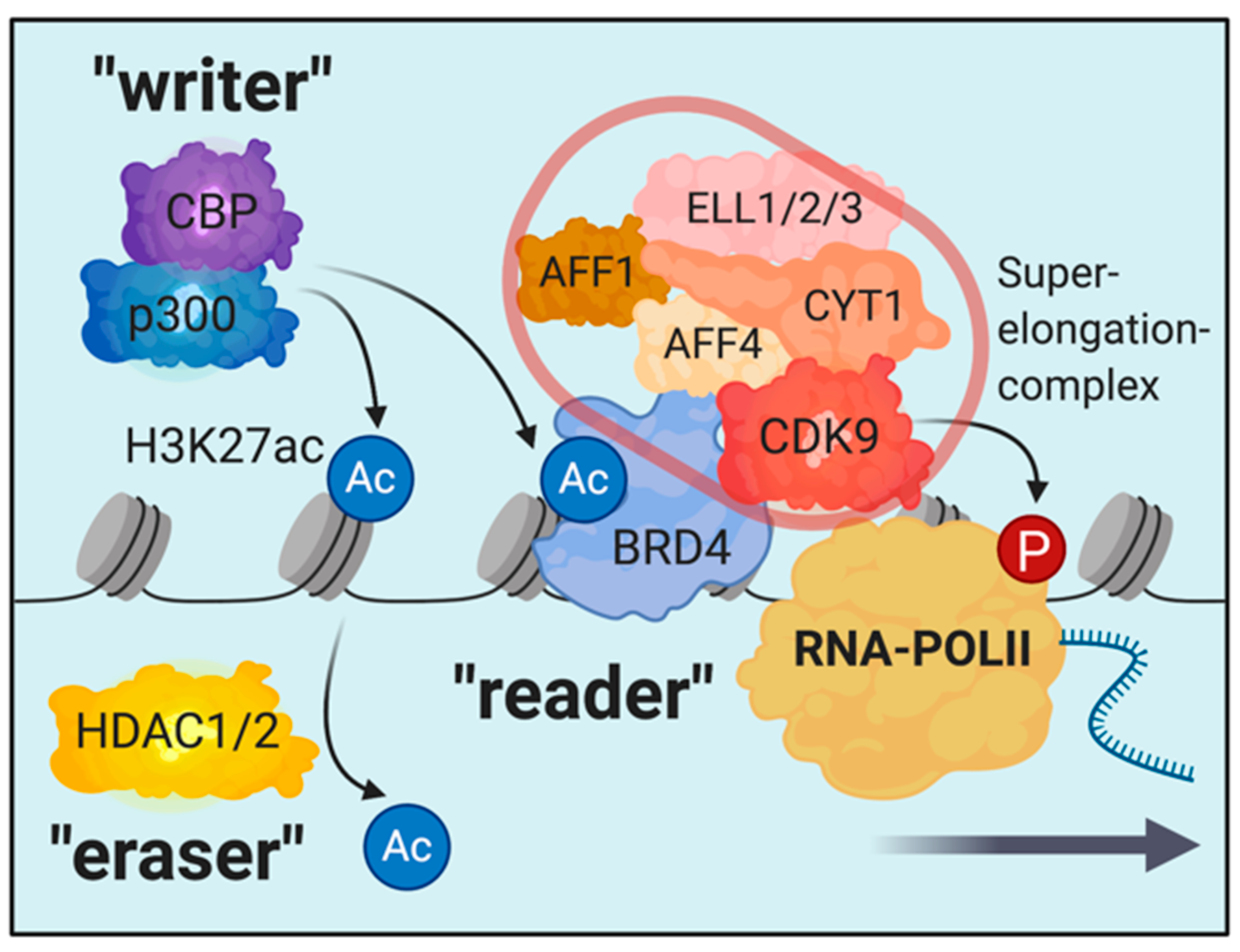 Cells | Free Full-Text | Targeting Chromatin Complexes in Myeloid