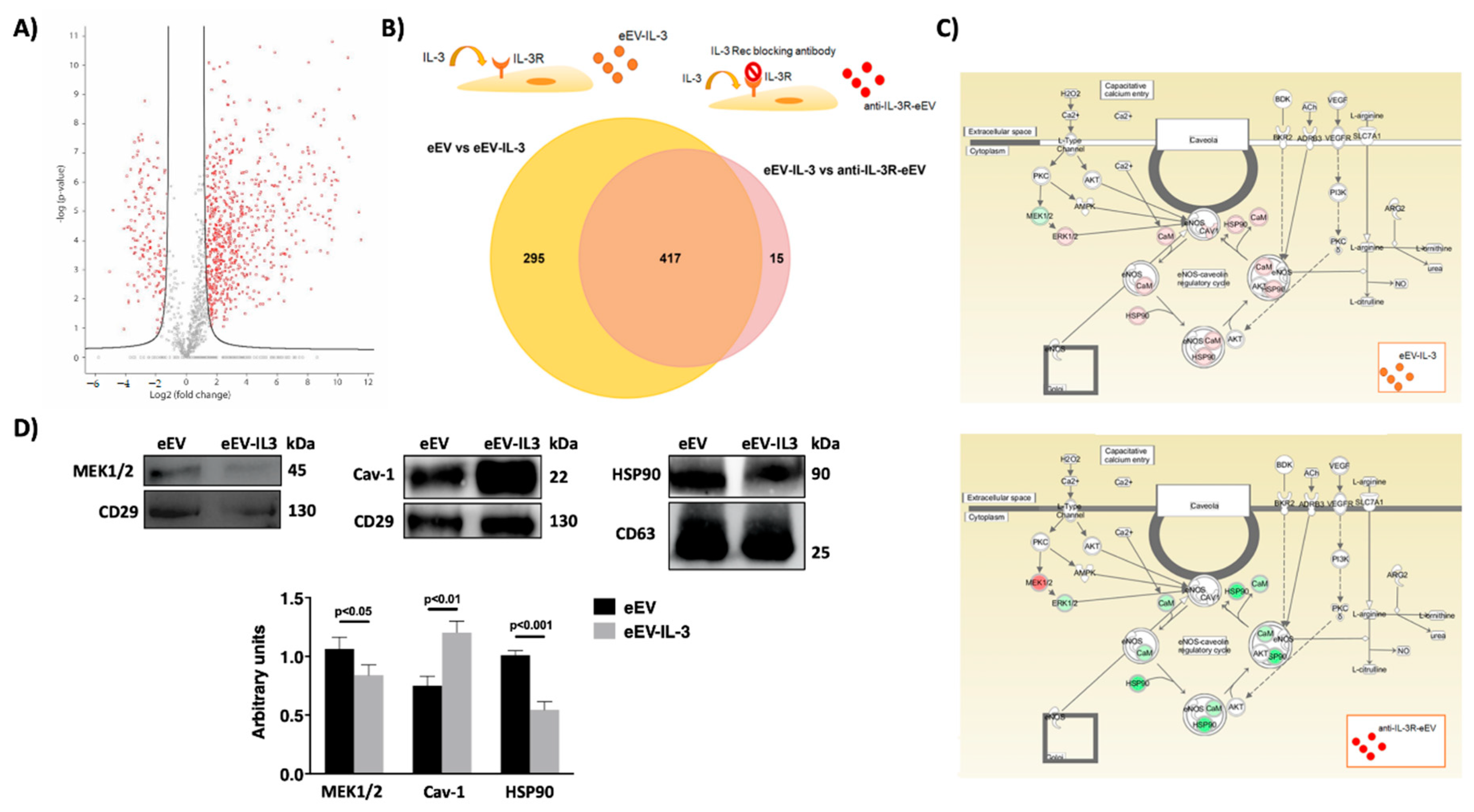 Cells Free Full Text The Inflammatory Cytokine Il 3 Hampers Cardioprotection Mediated By 