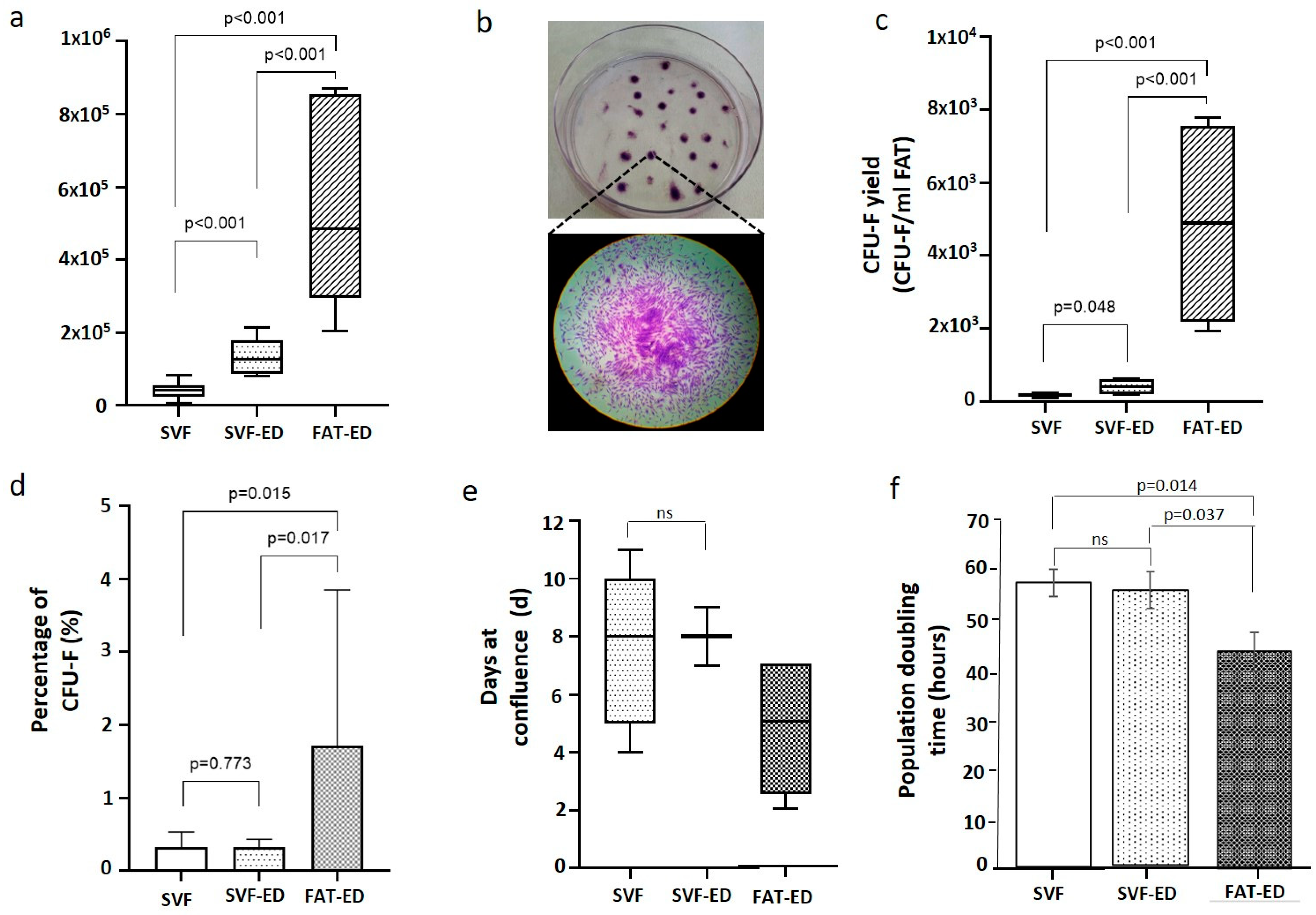 Cells 10 00036 g003 Cells 10 00036 g003