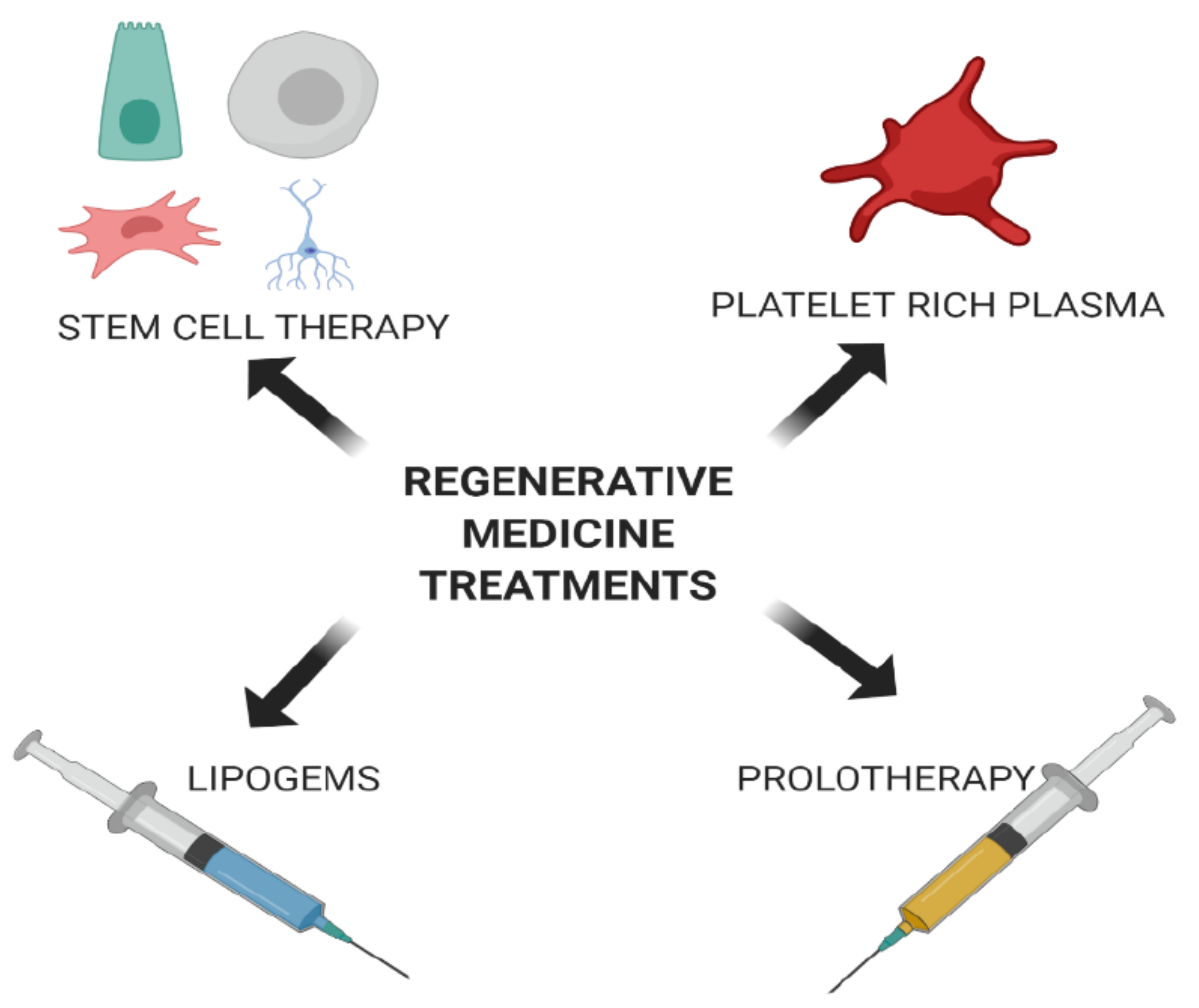 Stem Cells and Regenerative Medicine 