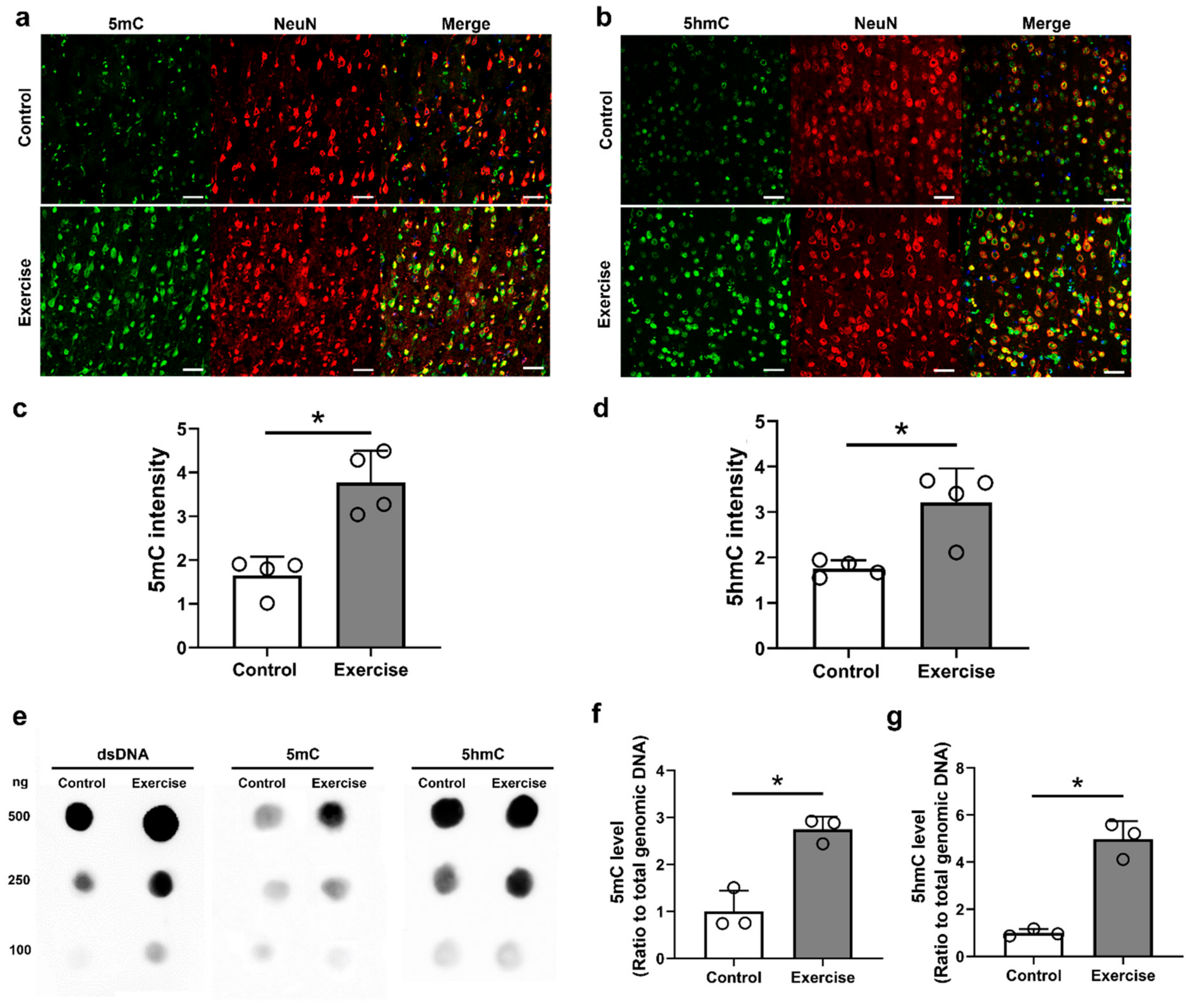 Cells 10 00143 g003 Cells 10 00143 g003