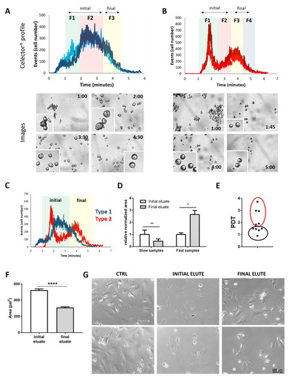 Cells | Free Full-Text | Unravelling Heterogeneity of Amplified Human ...