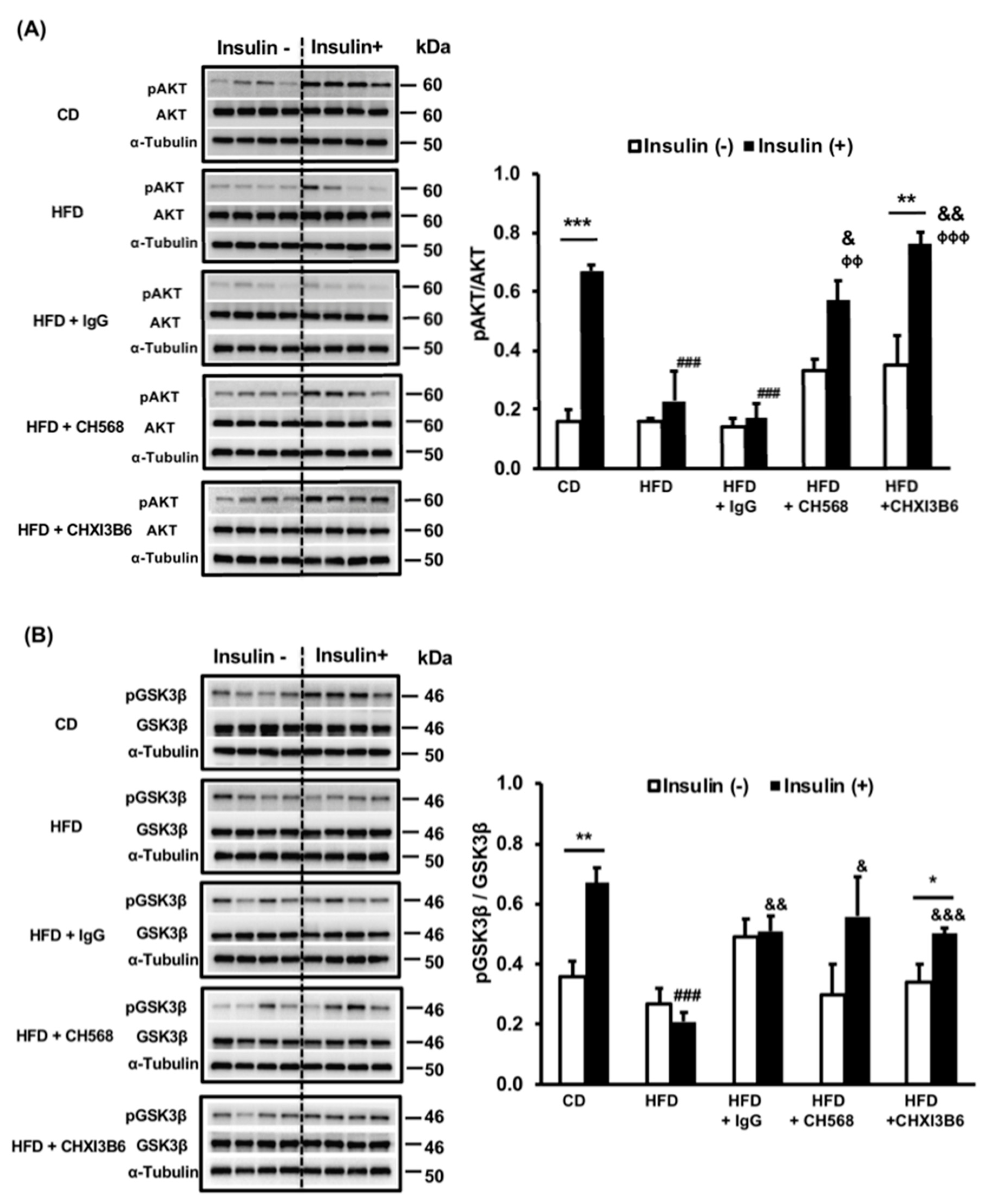 Cells 10 00201 g005 Cells 10 00201 g005
