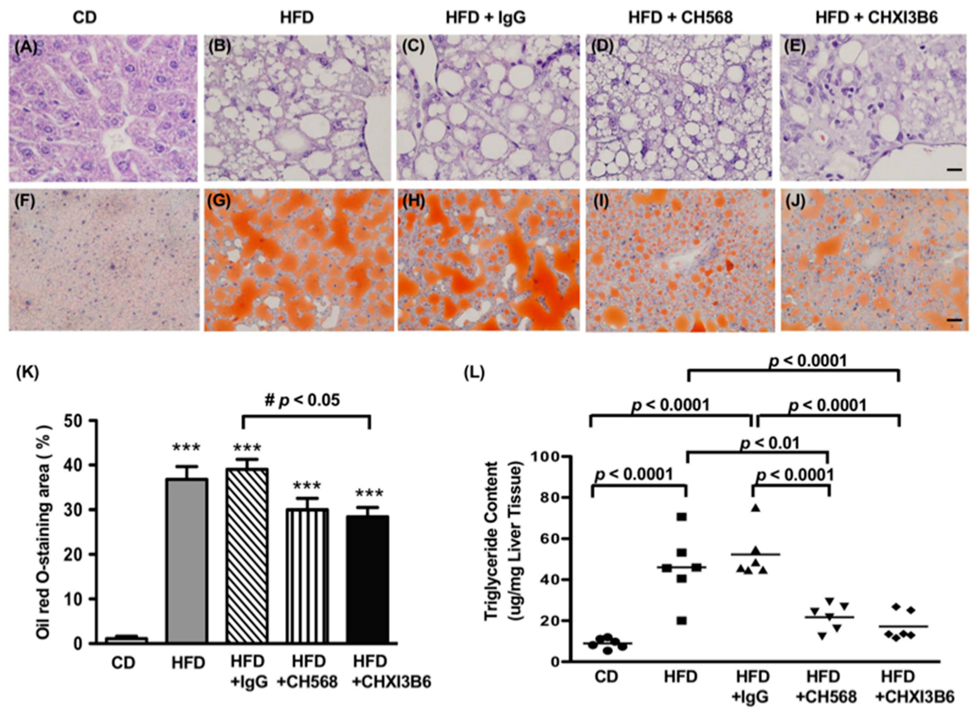 Cells 10 00201 g007 Cells 10 00201 g007
