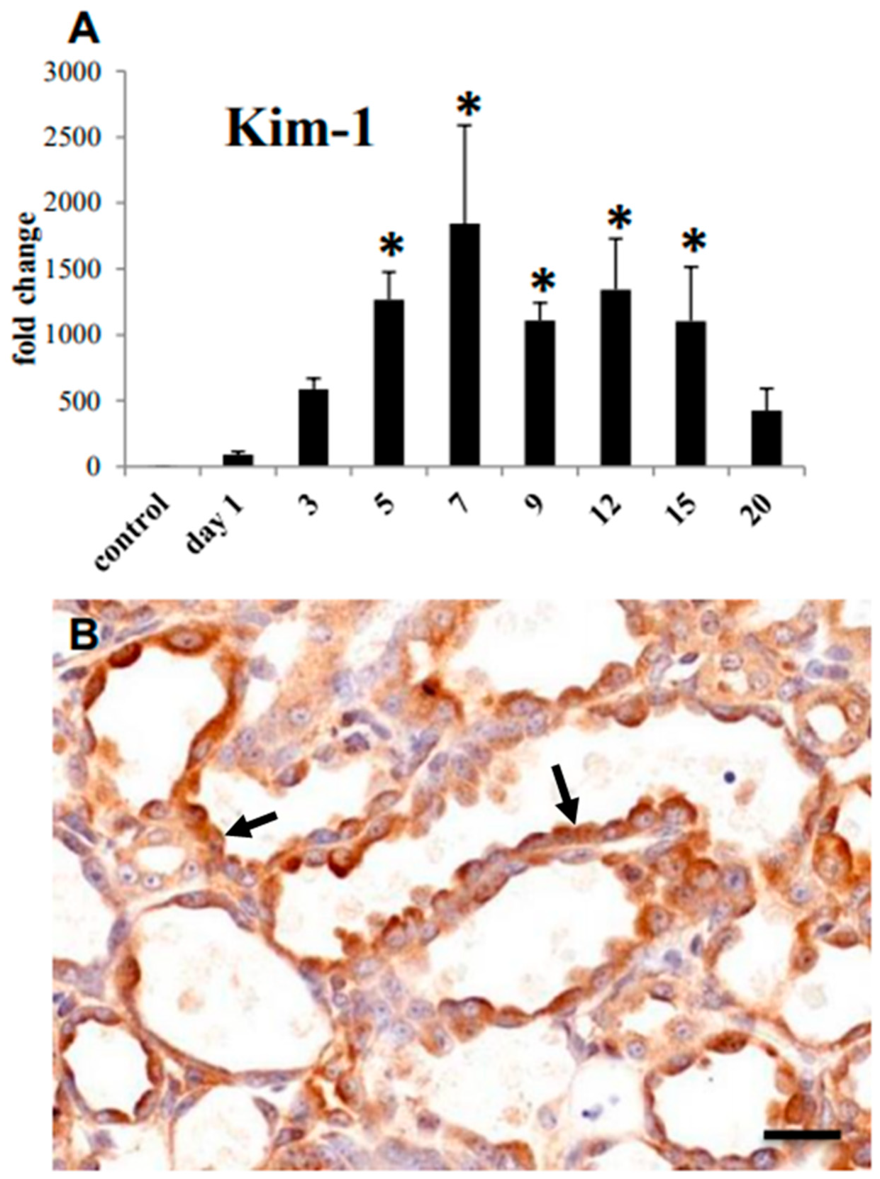 Cells 10 00257 g002 Cells 10 00257 g002