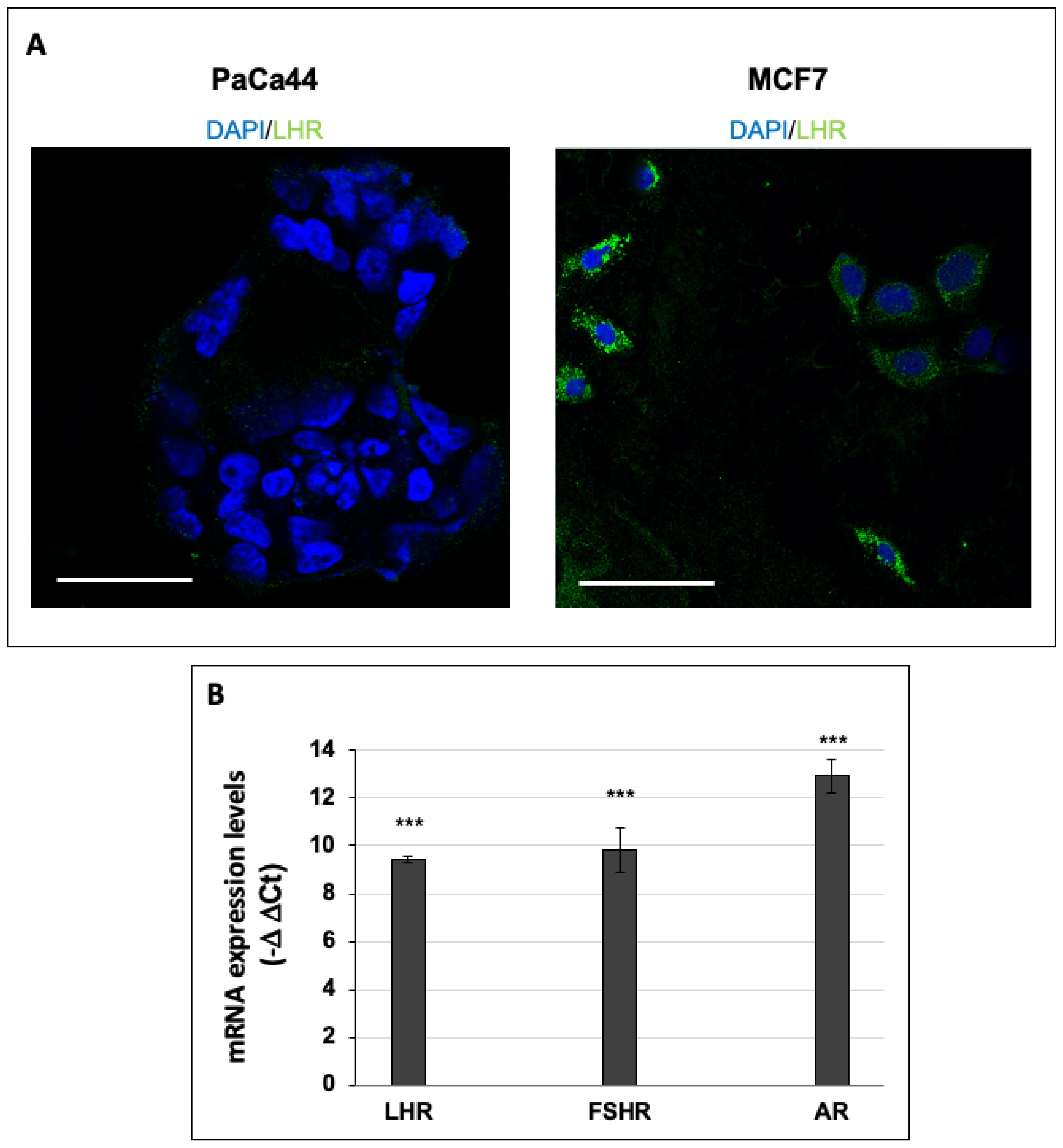 Cells 10 00264 g001 Cells 10 00264 g001