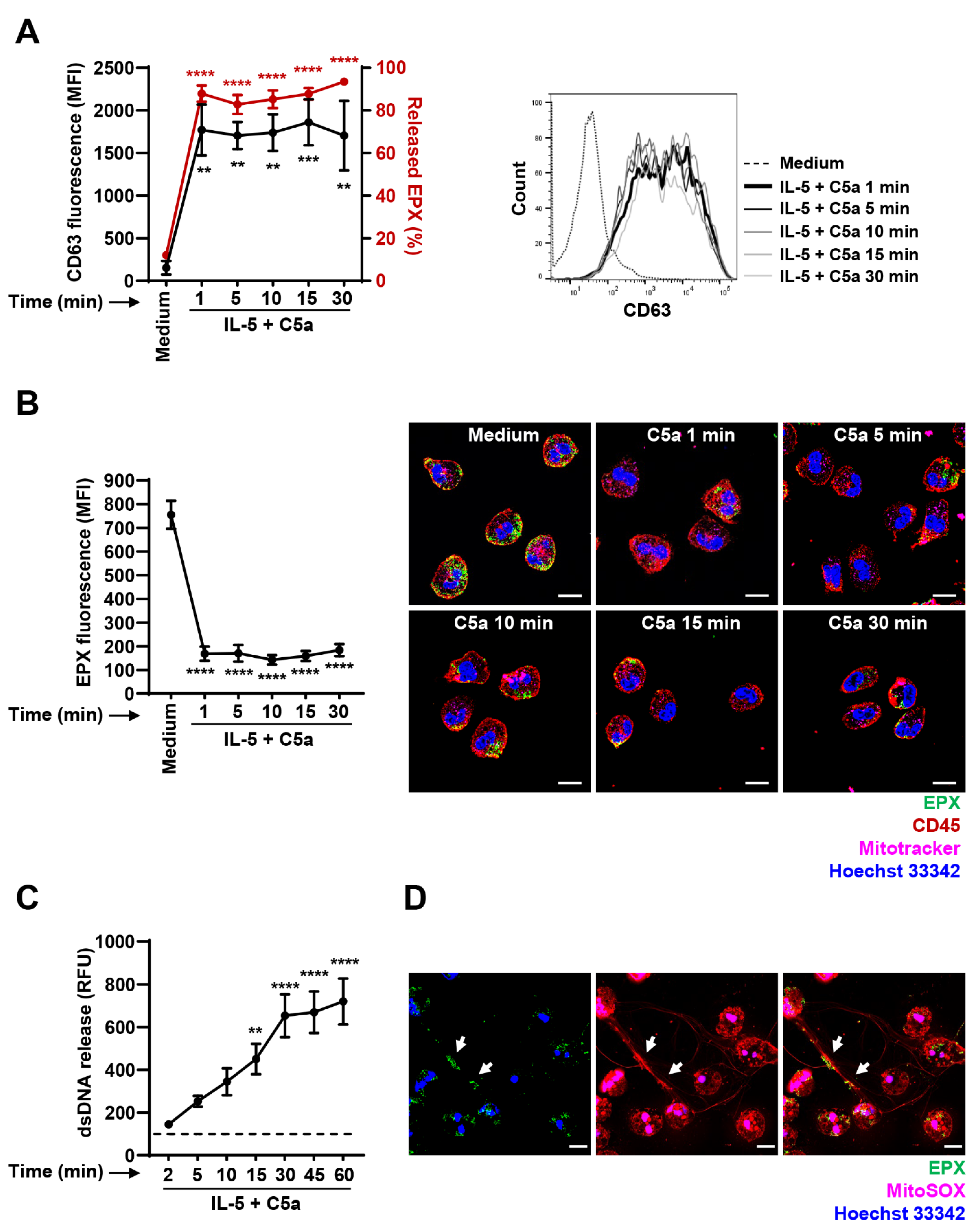 Cells Free Full Text The Release Kinetics Of Eosinophil Peroxidase And Mitochondrial Dna Is Different In Association With Eosinophil Extracellular Trap Formation Html