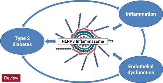 Cells Free Full Text Nlrp3 Inflammasome At The Interface Of Inflammation Endothelial Dysfunction And Type 2 Diabetes Html