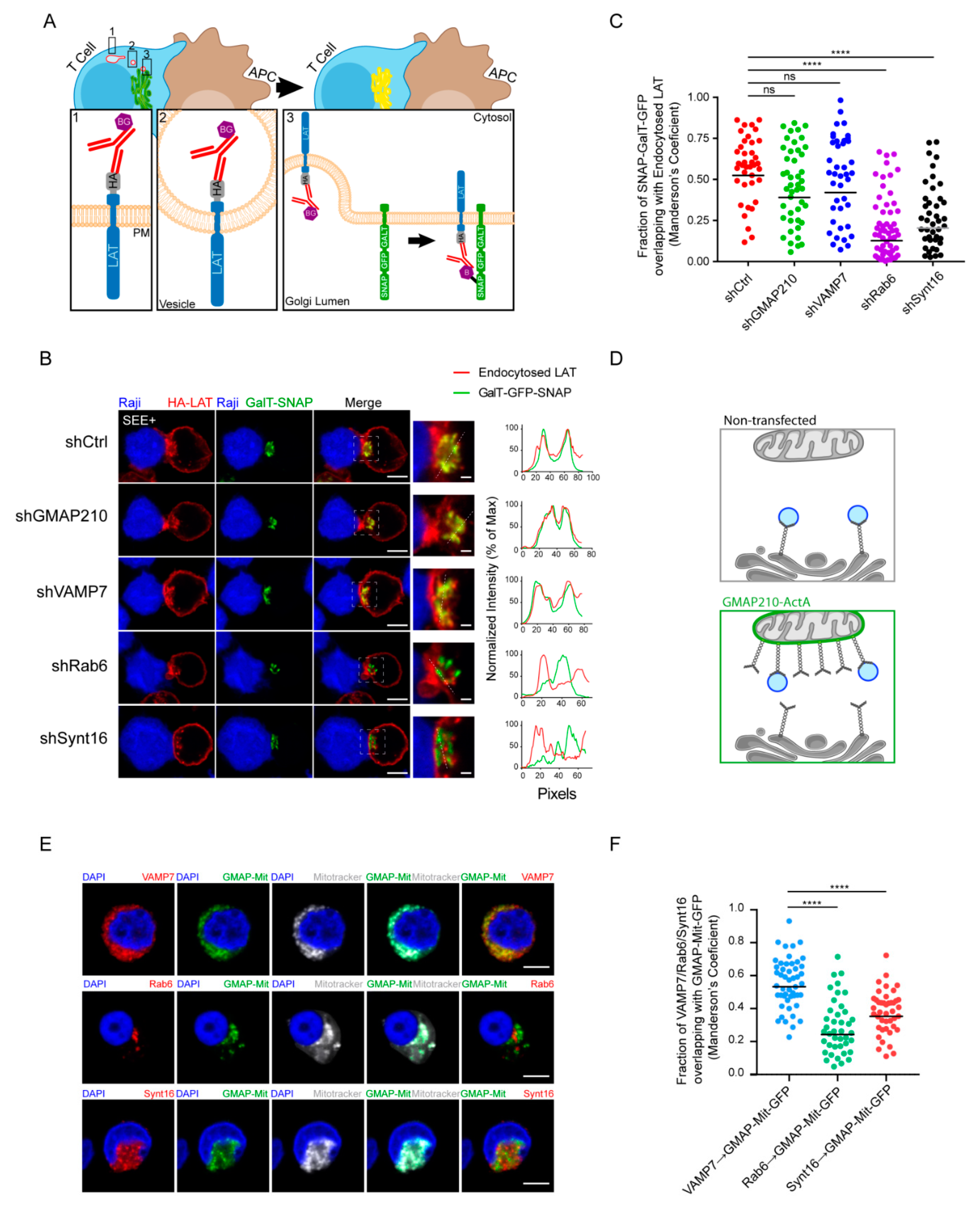 Cells 10 00359 g004 Cells 10 00359 g004