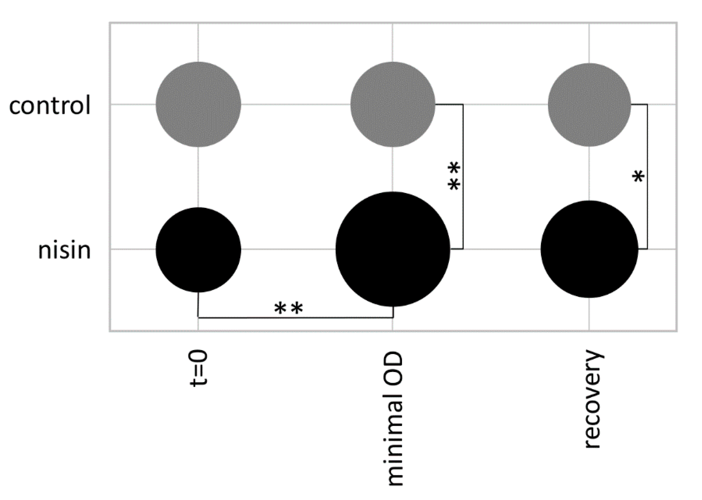 Cells 10 00372 g008 Cells 10 00372 g008