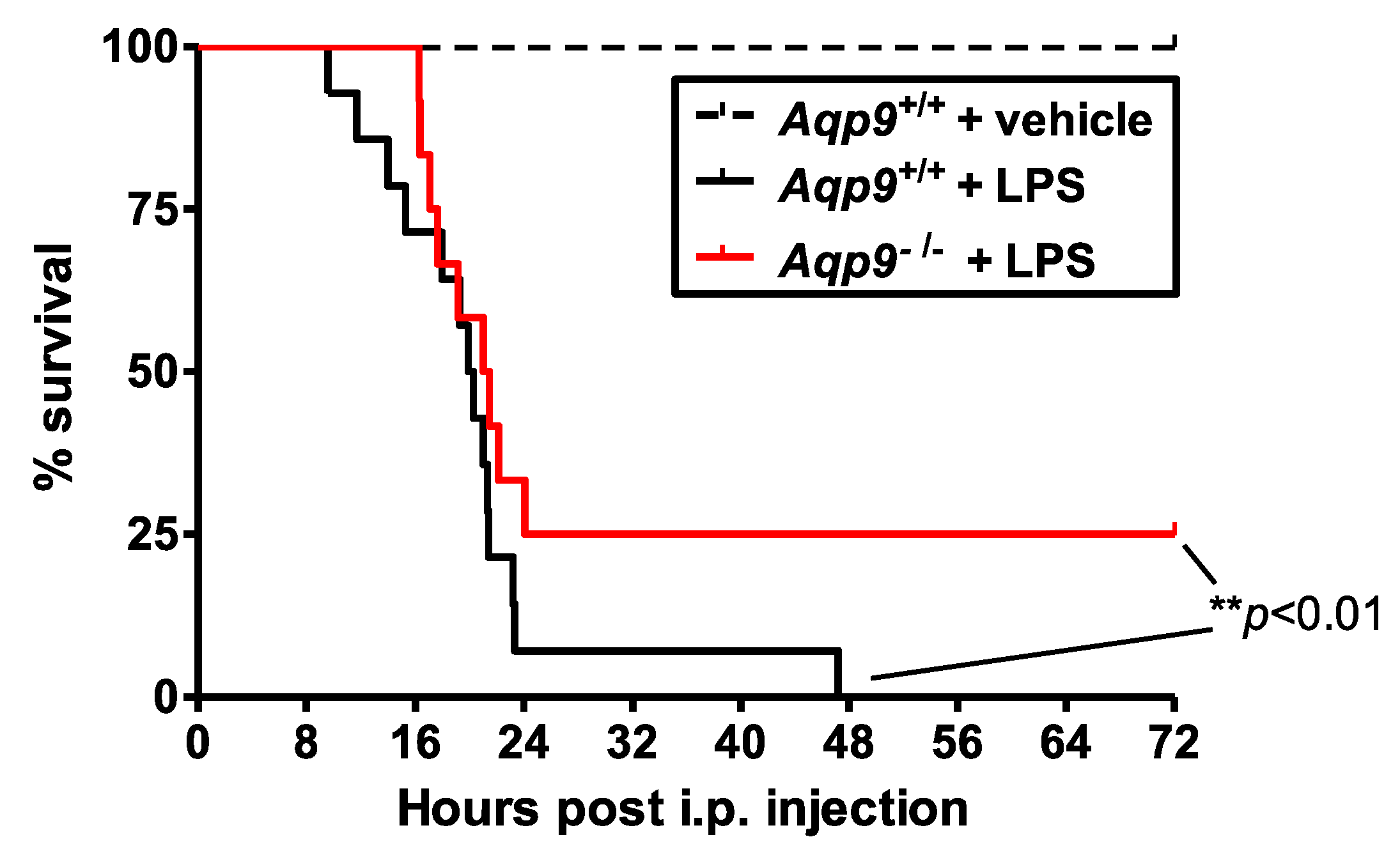 Cells | Free Full-Text | Ablation of Aquaporin-9 Ameliorates the Systemic  Inflammatory Response of LPS-Induced Endotoxic Shock in Mouse