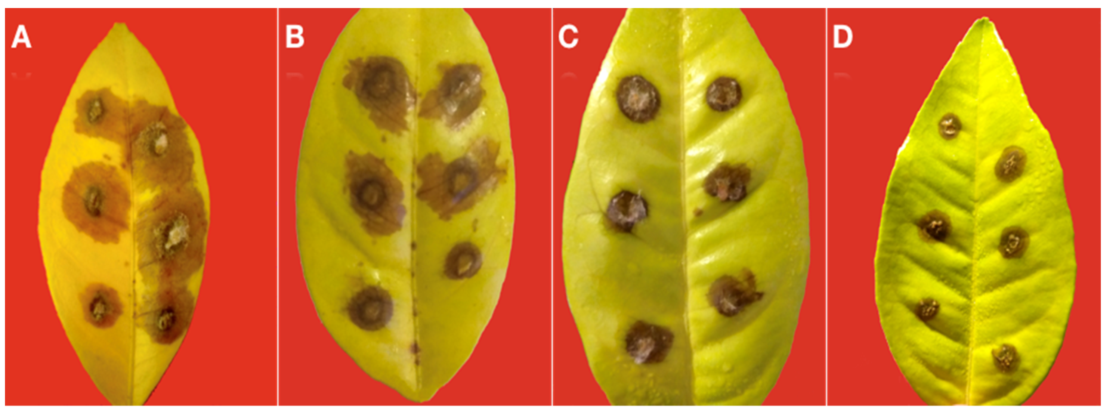 Cells 10 00449 g011 Cells 10 00449 g011