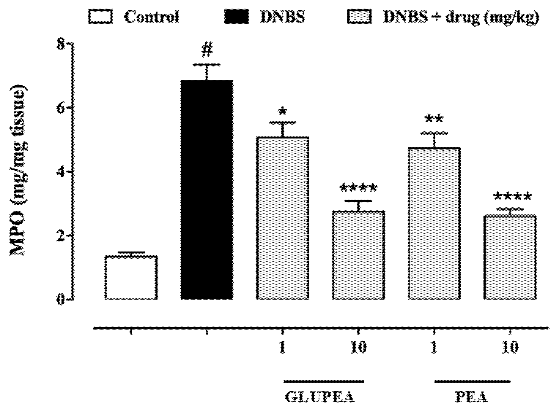 Cells 10 00450 g007 Cells 10 00450 g007