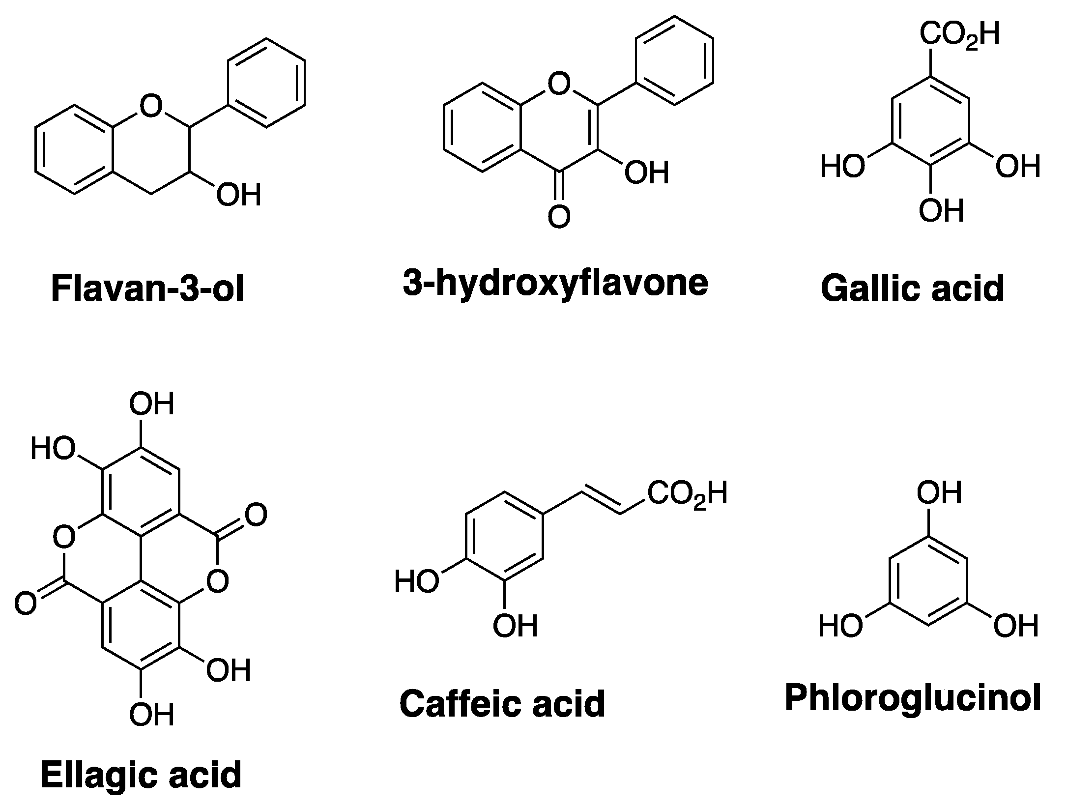 Cells 10 00458 g003 Cells 10 00458 g003