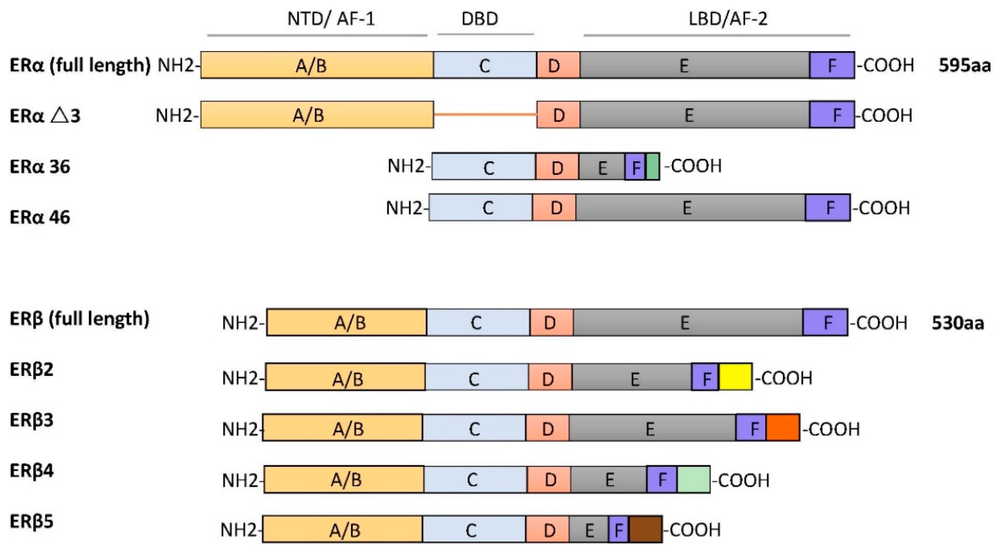 Cells 10 00459 g001 Cells 10 00459 g001