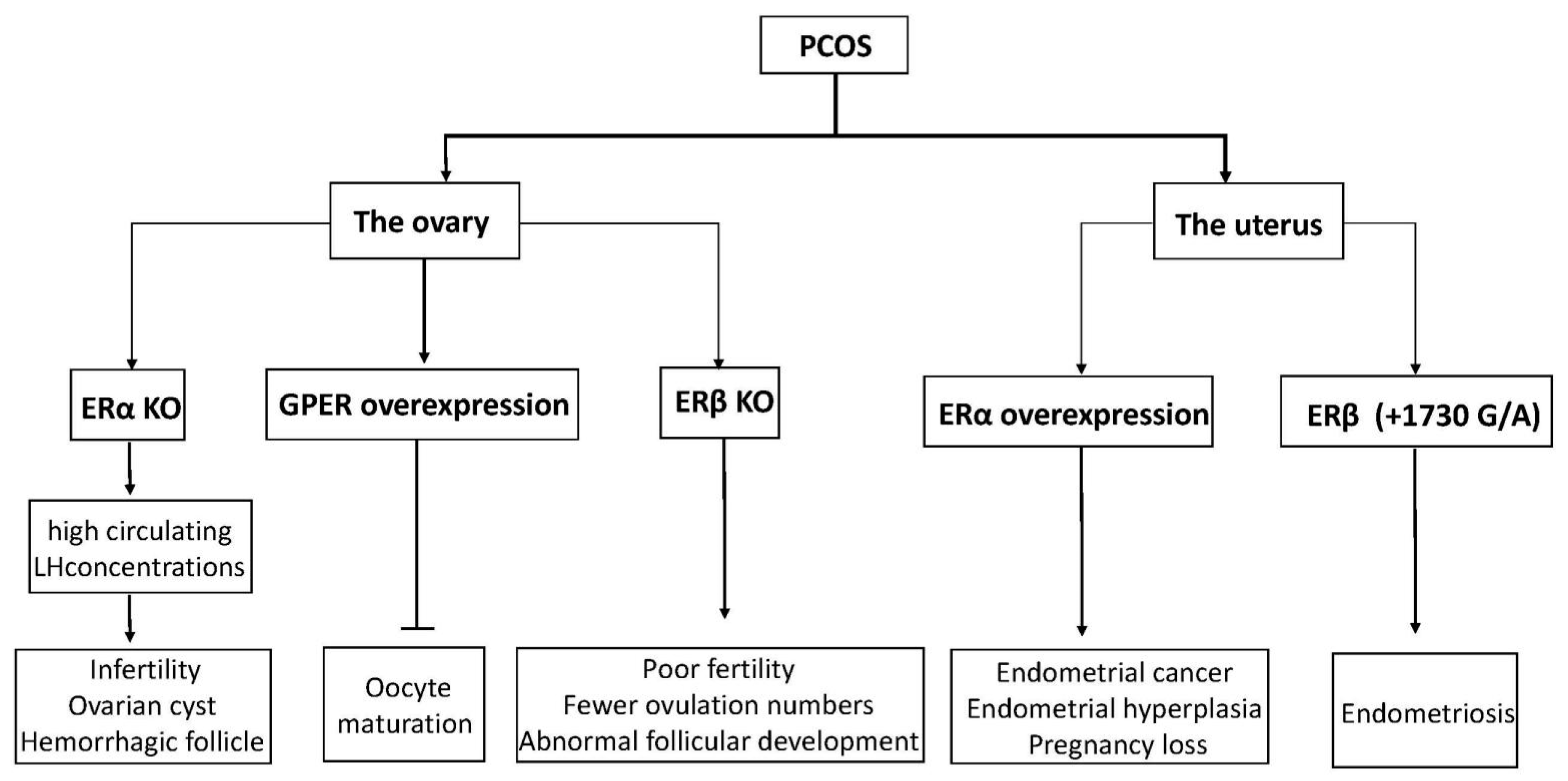 Cells 10 00459 g003 Cells 10 00459 g003