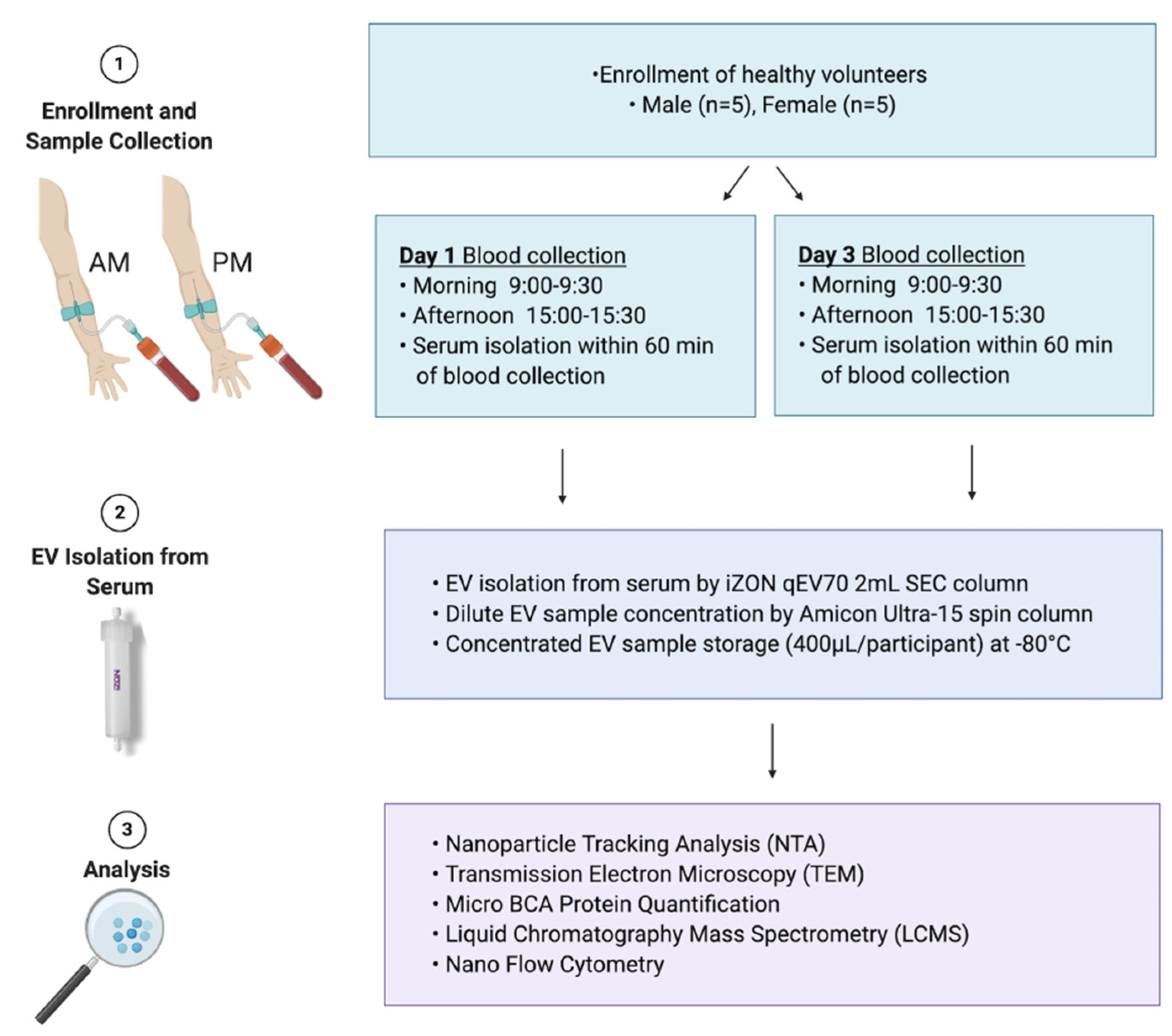 Cells 10 00485 g001 Cells 10 00485 g001