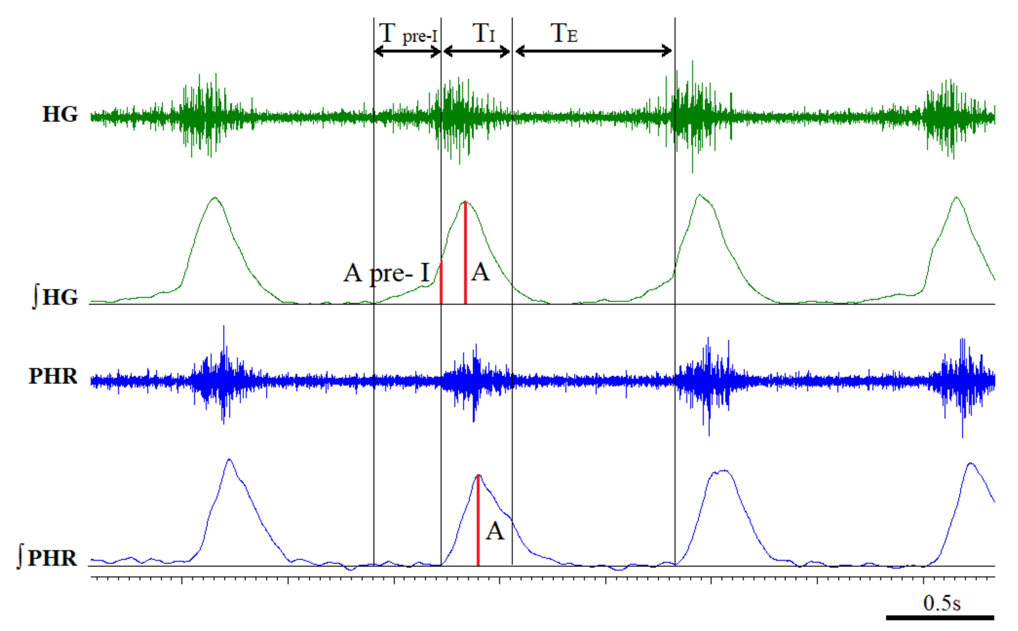 Cells 10 00531 g001 Cells 10 00531 g001