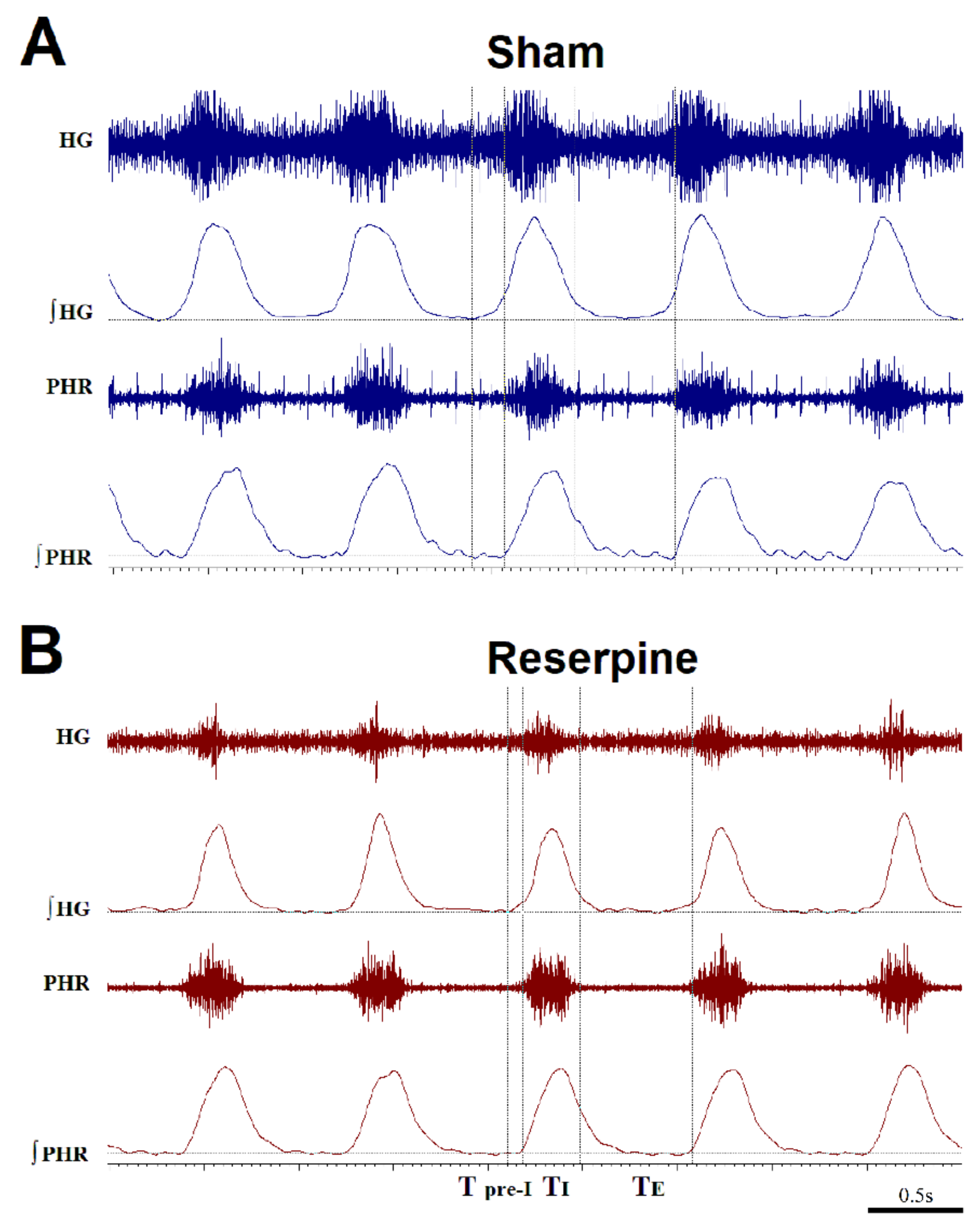 Cells 10 00531 g006 Cells 10 00531 g006