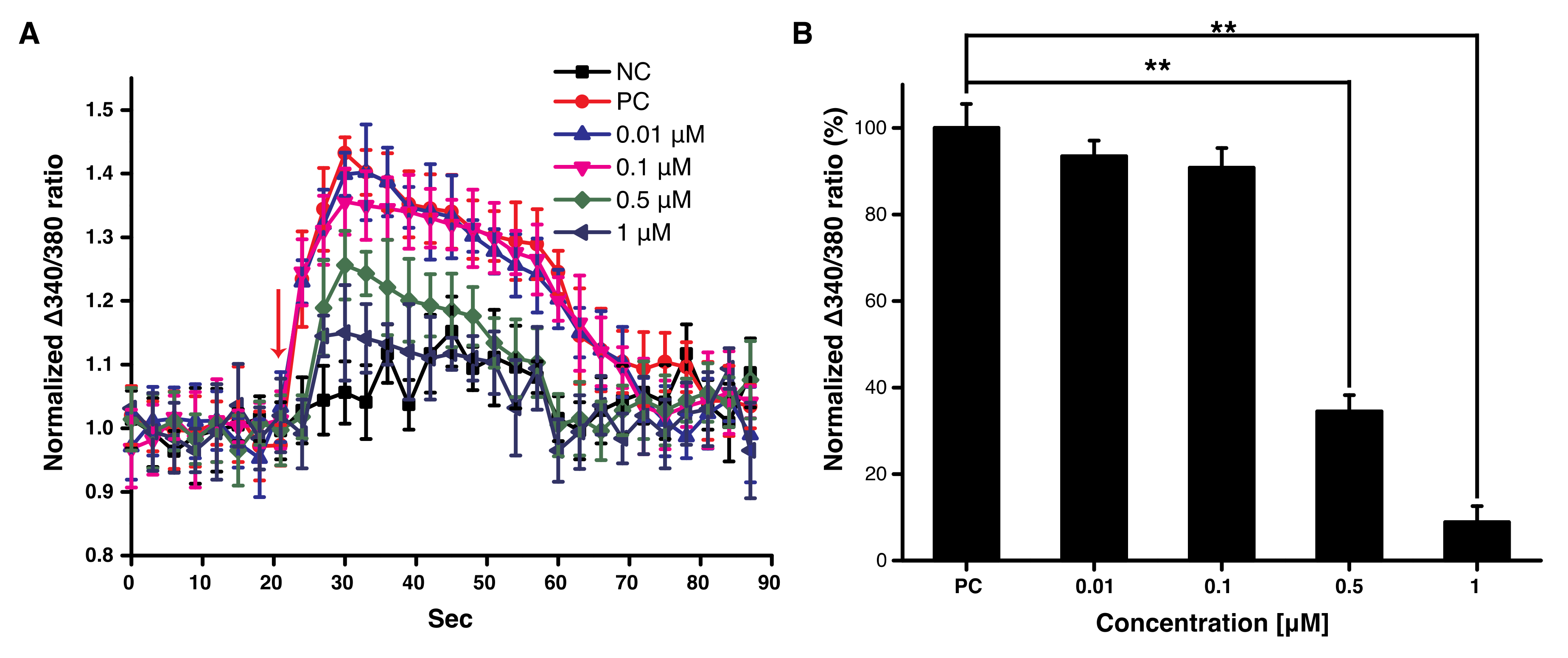 Cells 10 00547 g001 Cells 10 00547 g001