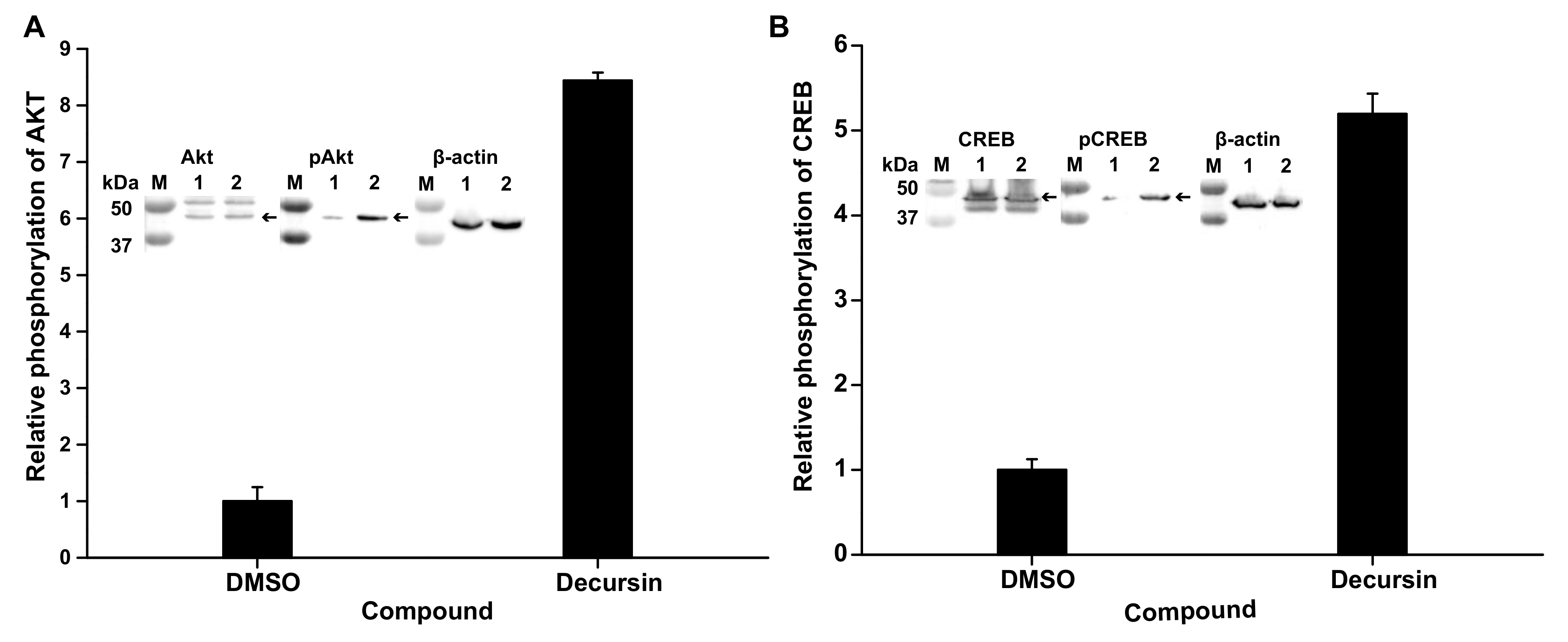 Cells 10 00547 g005 Cells 10 00547 g005