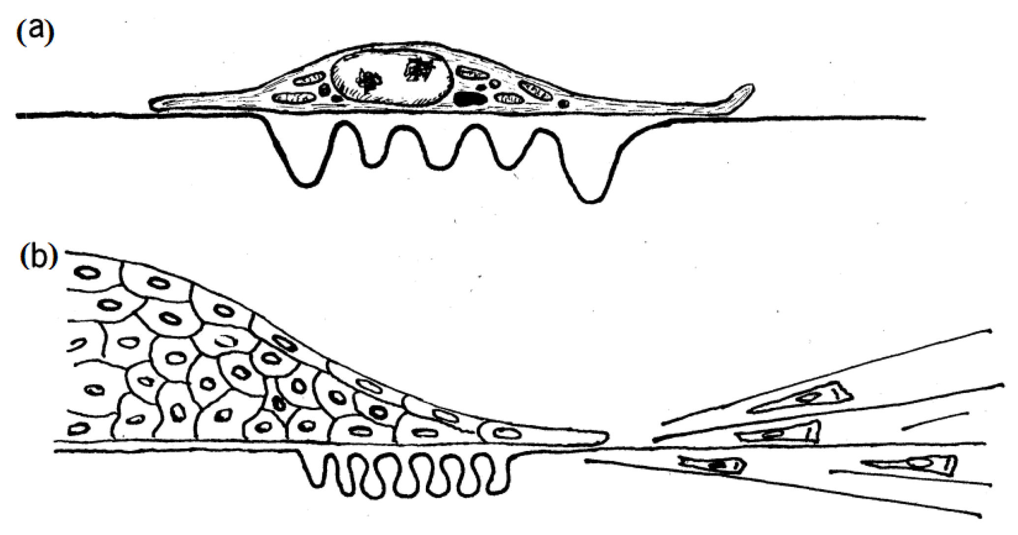 Cells 10 00577 g003 Cells 10 00577 g003