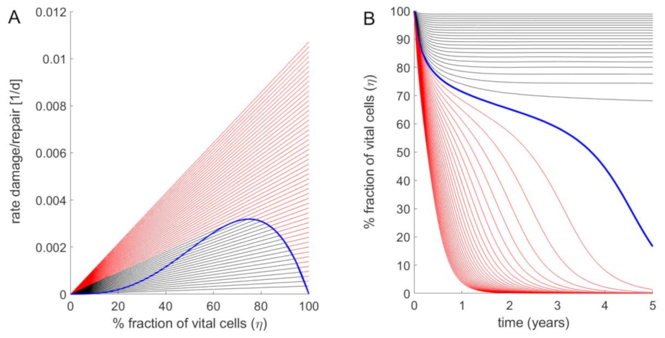 Cells 10 00578 g003 Cells 10 00578 g003