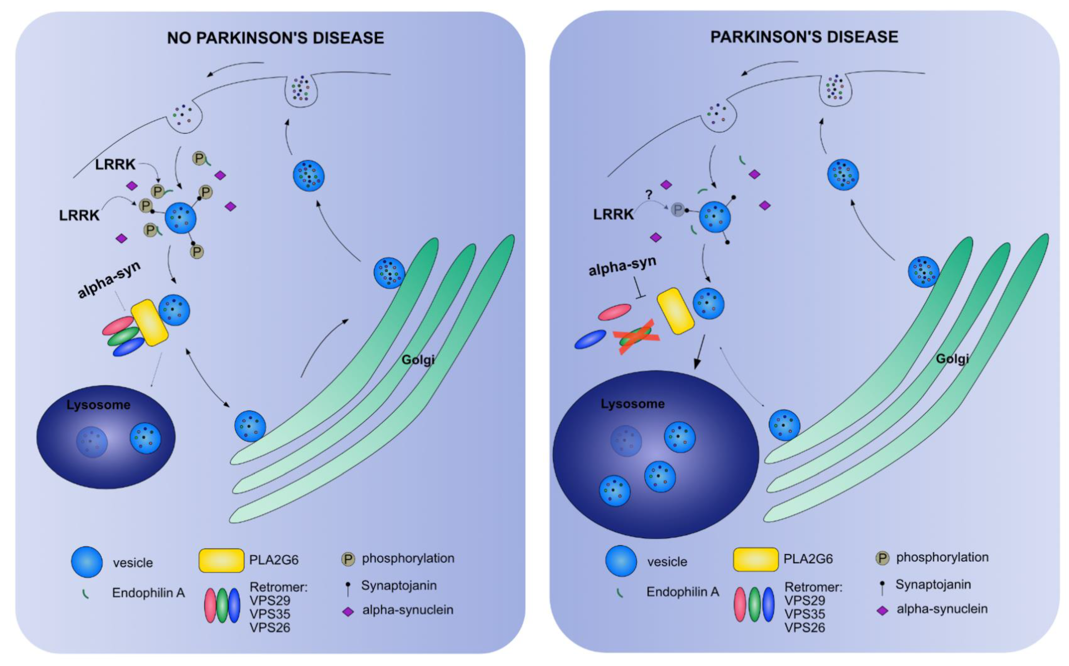 Cells 10 00579 g003 Cells 10 00579 g003