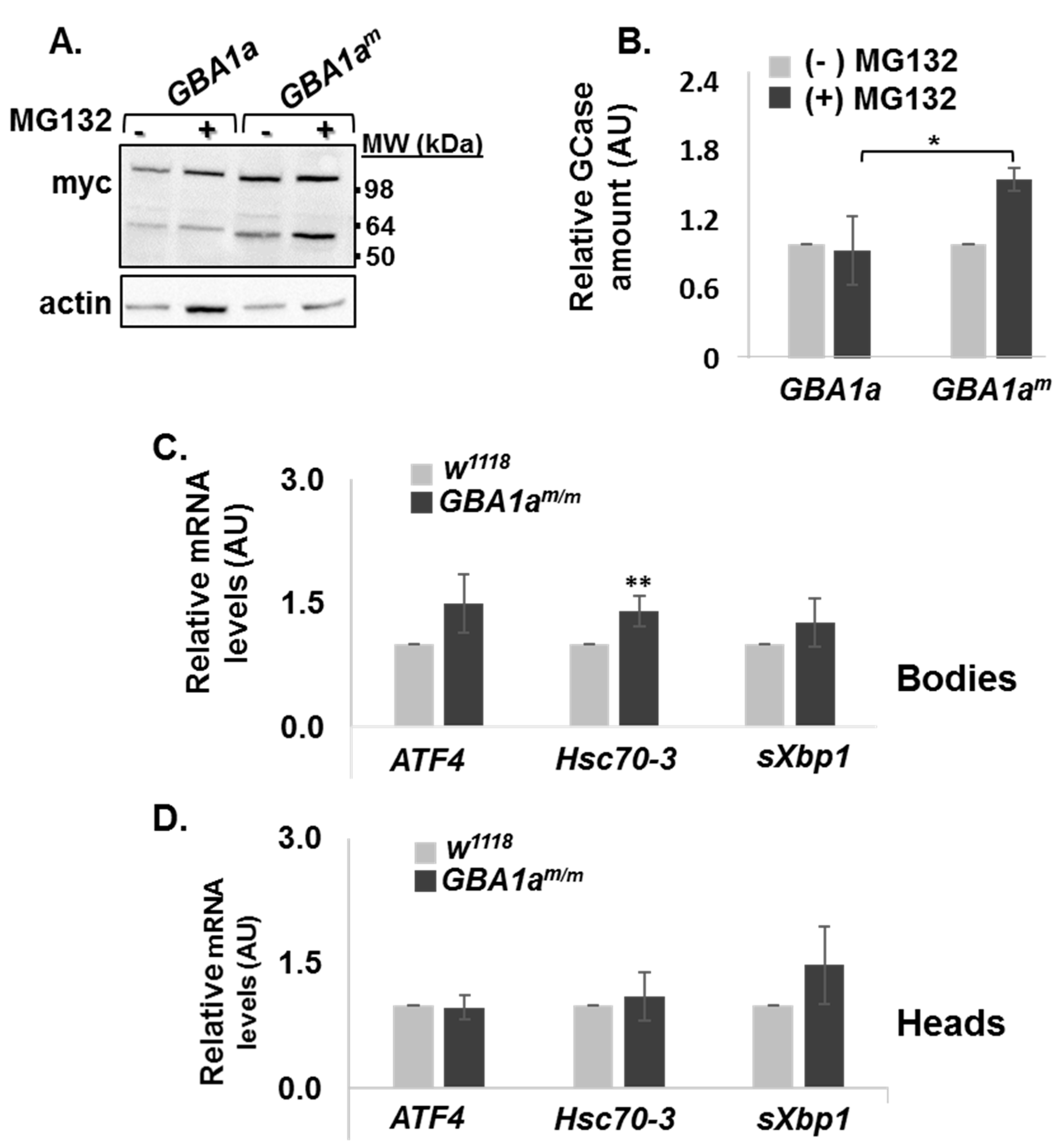 Cells 10 00630 g003 Cells 10 00630 g003