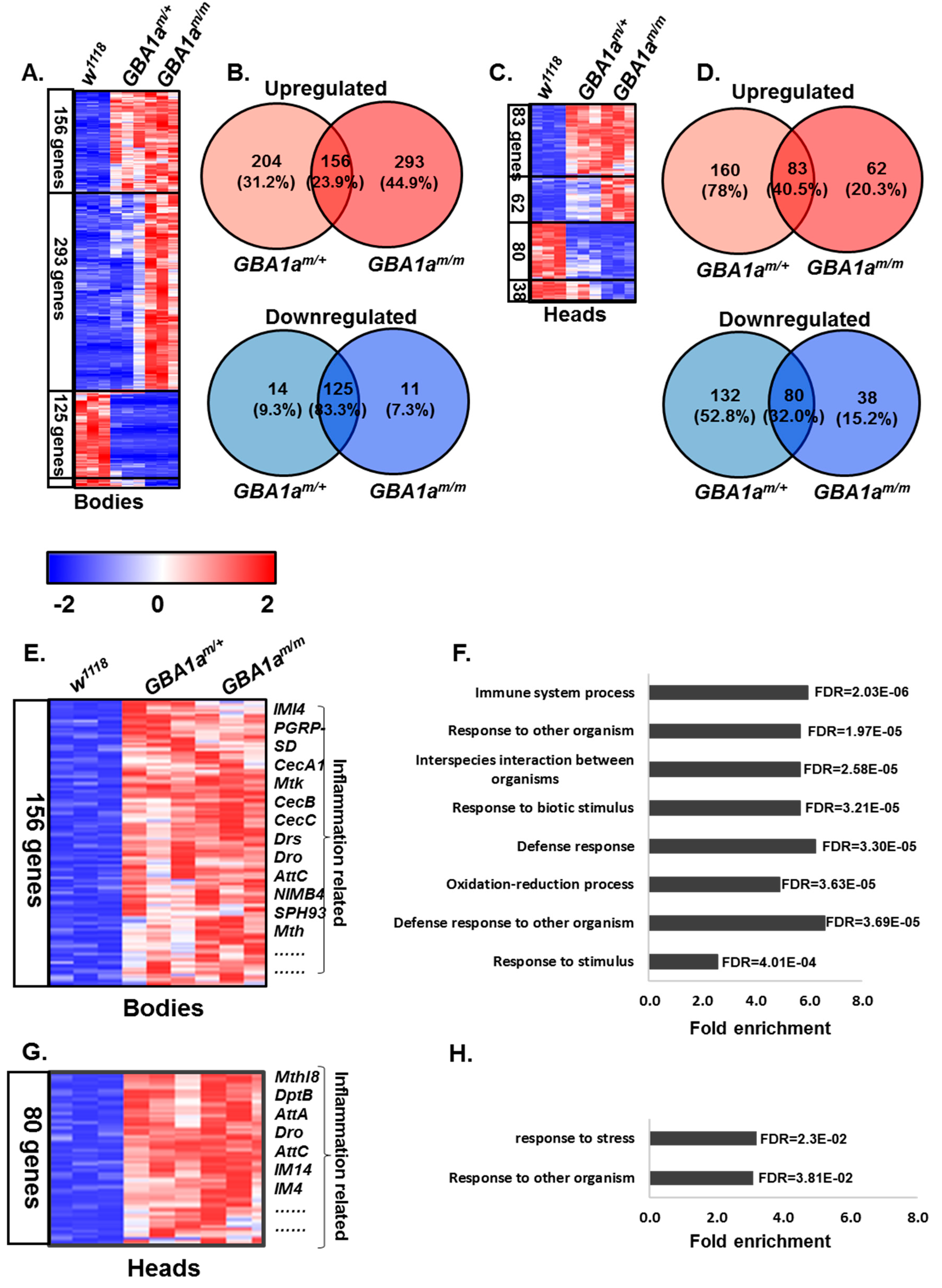 Cells 10 00630 g004 Cells 10 00630 g004
