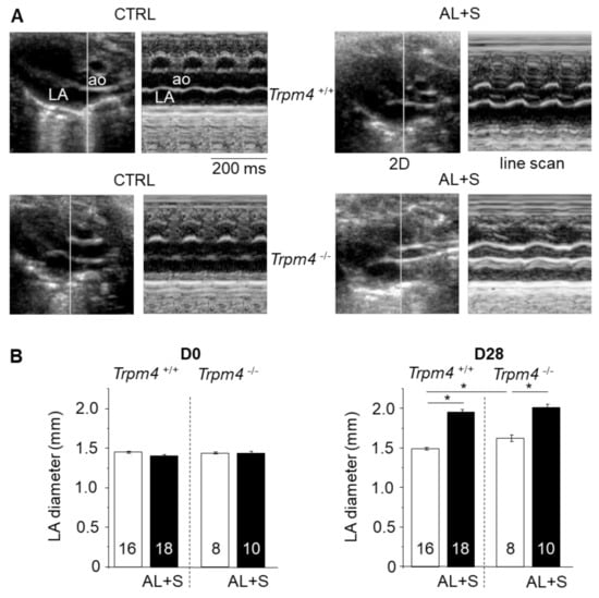 Cells Free Full Text Trpm4 Participates In Aldosterone Salt Induced Electrical Atrial Remodeling In Mice Html