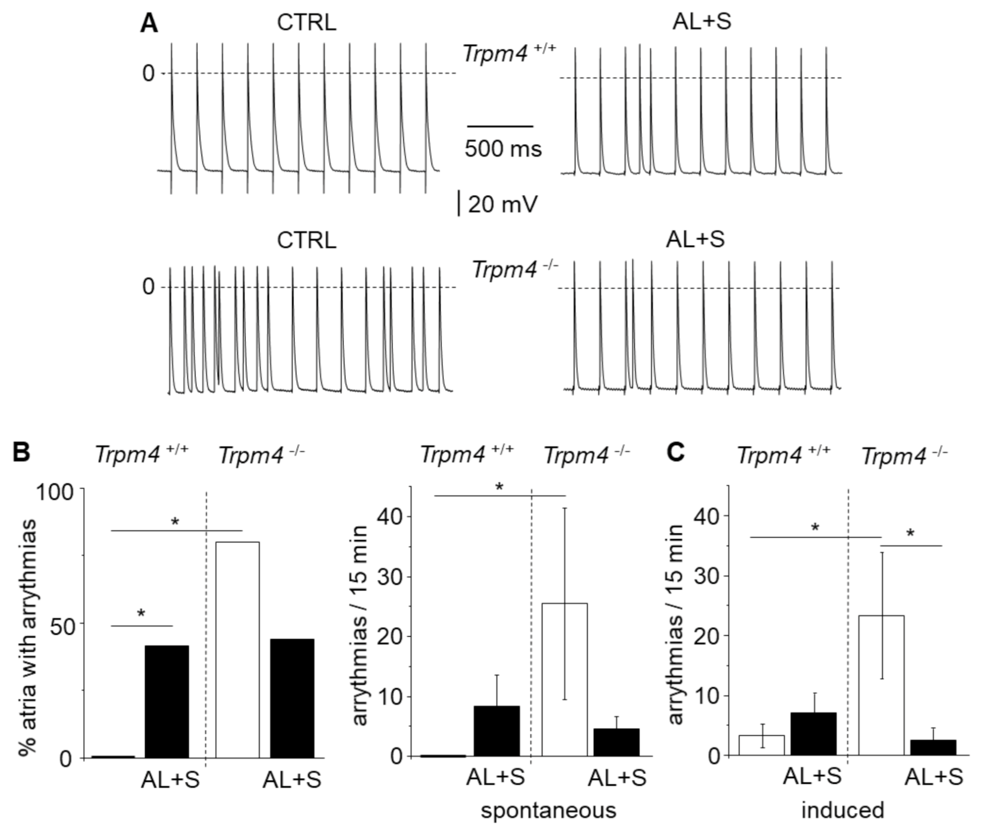 Cells 10 00636 g003 Cells 10 00636 g003