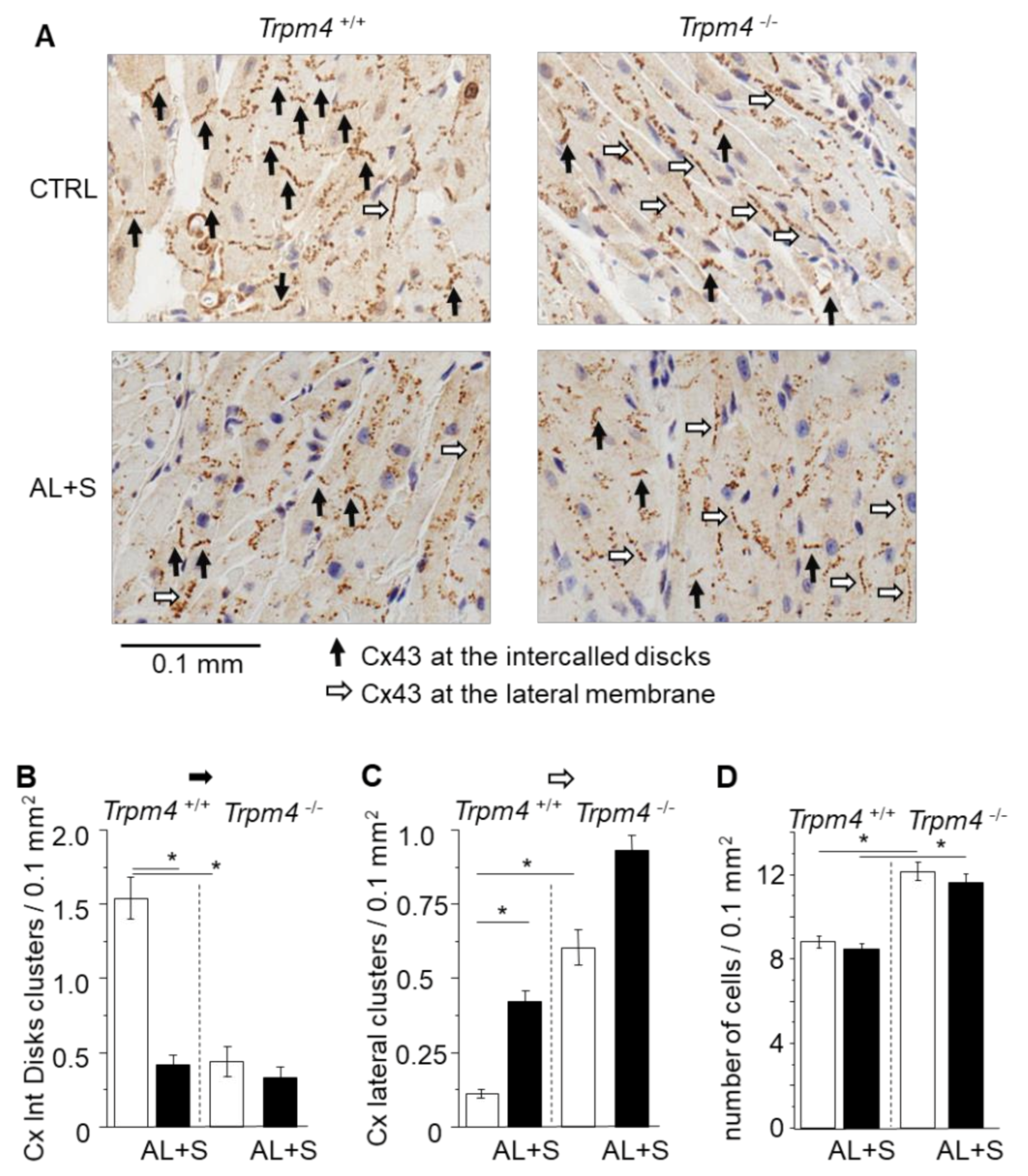 Cells 10 00636 g004 Cells 10 00636 g004