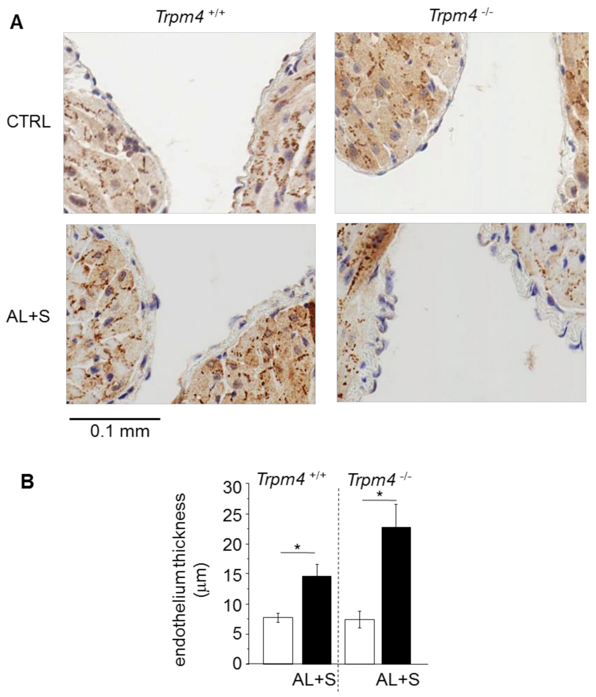 Cells 10 00636 g005 Cells 10 00636 g005