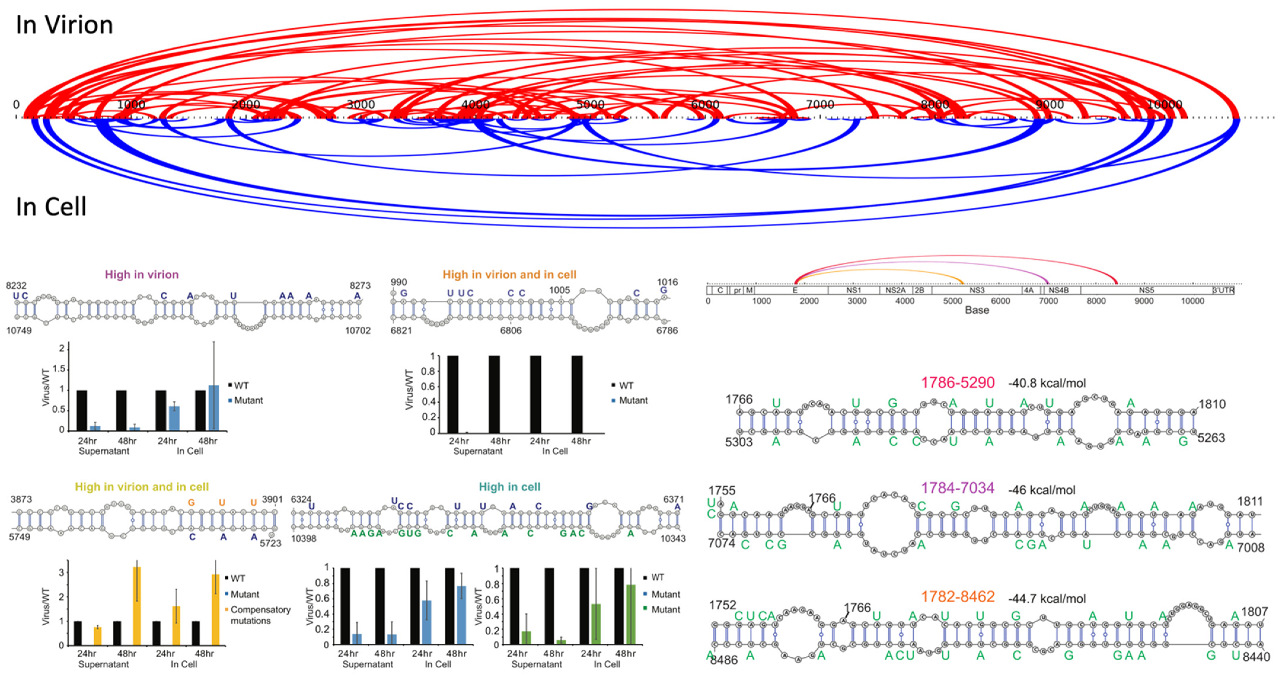 Cells 10 00642 g002 Cells 10 00642 g002