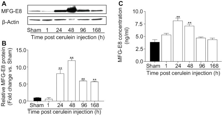 Cells 10 00728 g001 Cells 10 00728 g001