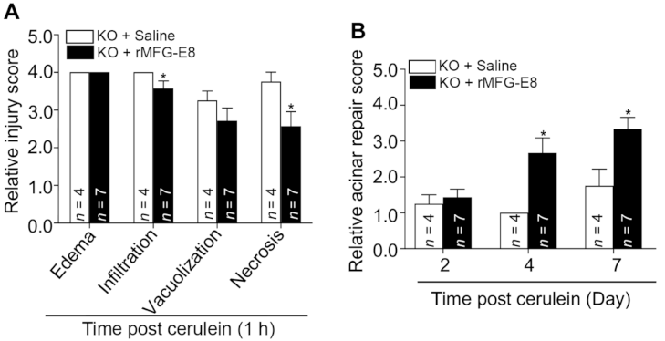 Cells 10 00728 g005 Cells 10 00728 g005
