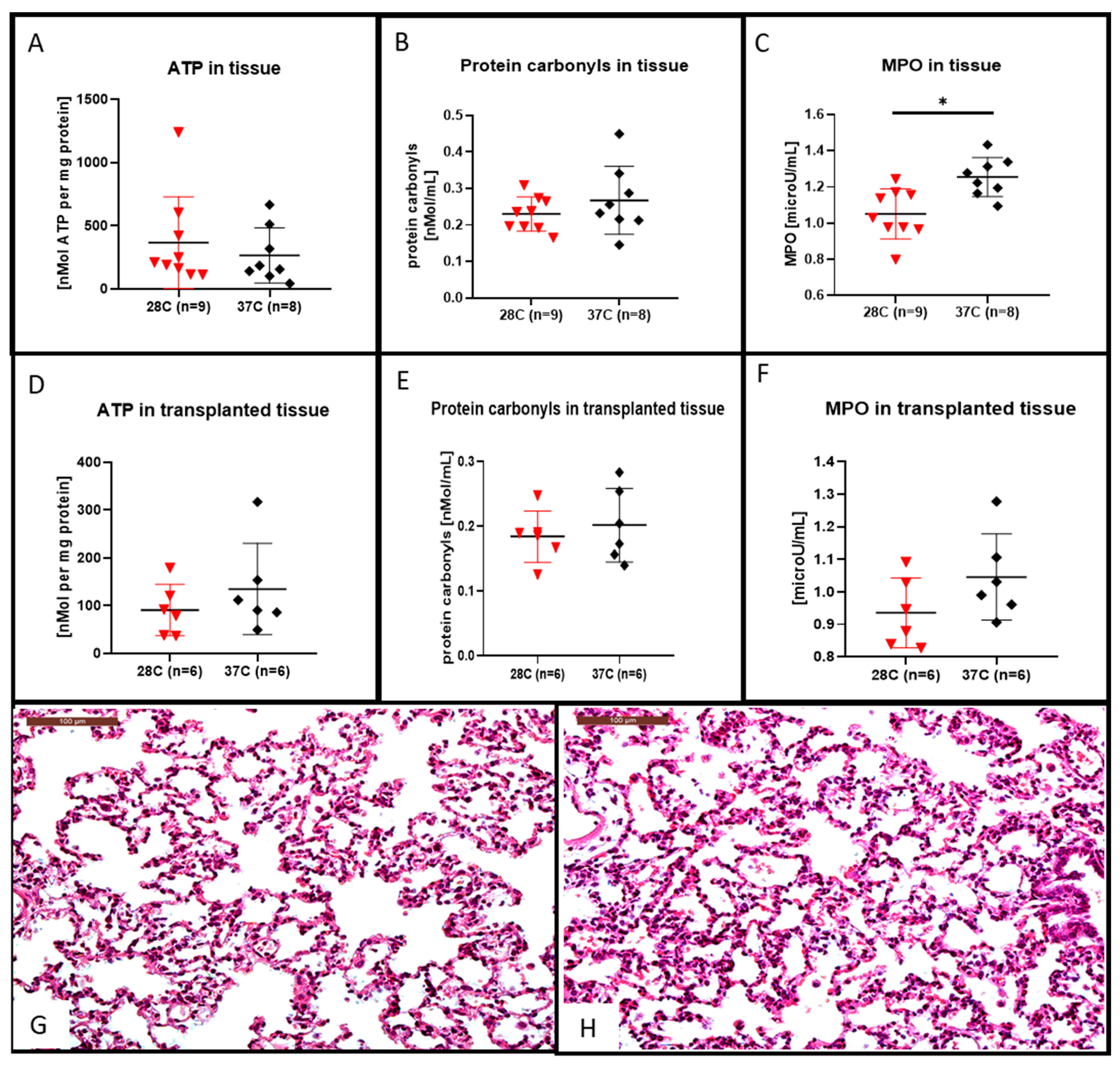 Cells 10 00748 g004 Cells 10 00748 g004